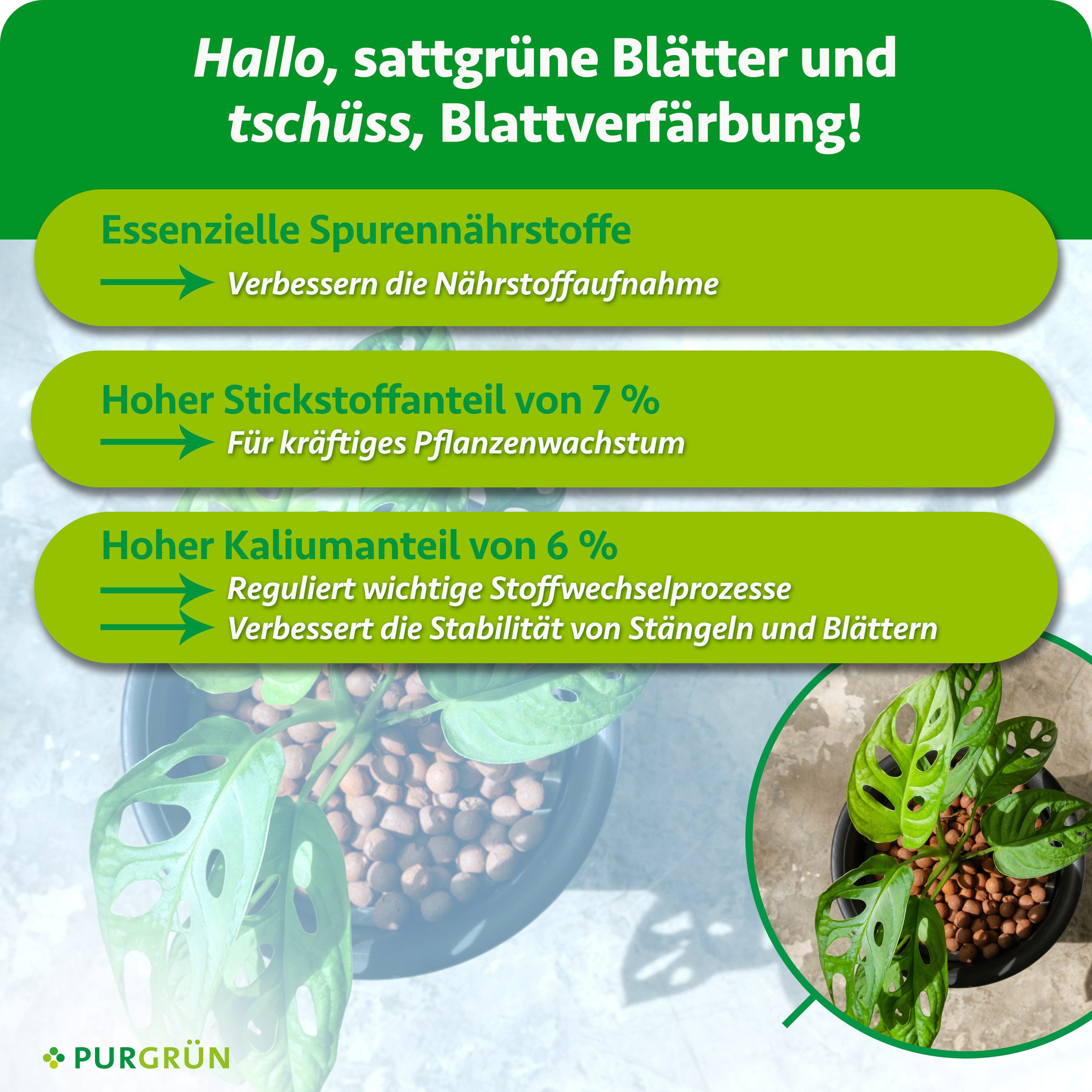 Purgrün Pflanzendünger Hydrokultur Dünger, NPK 7+3+6, Wachstum, 1 Liter, Flüssigdünger, 1-St., 1 Liter – Bild 3 von 5