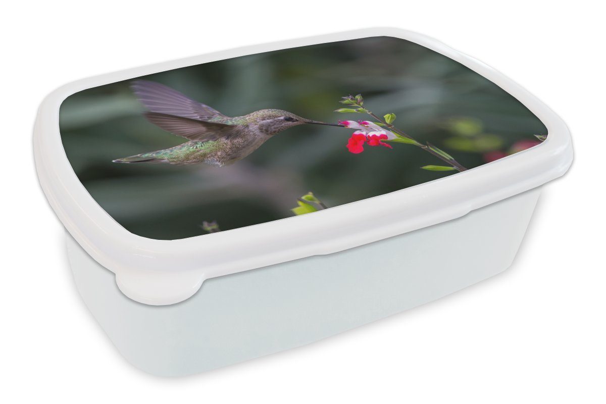 MuchoWow Lunchbox Kolibri - Blume - Rot, Kunststoff, (2-tlg), Brotbox für Kinder und Erwachsene, Brotdose, für Jungs und Mädchen weiß