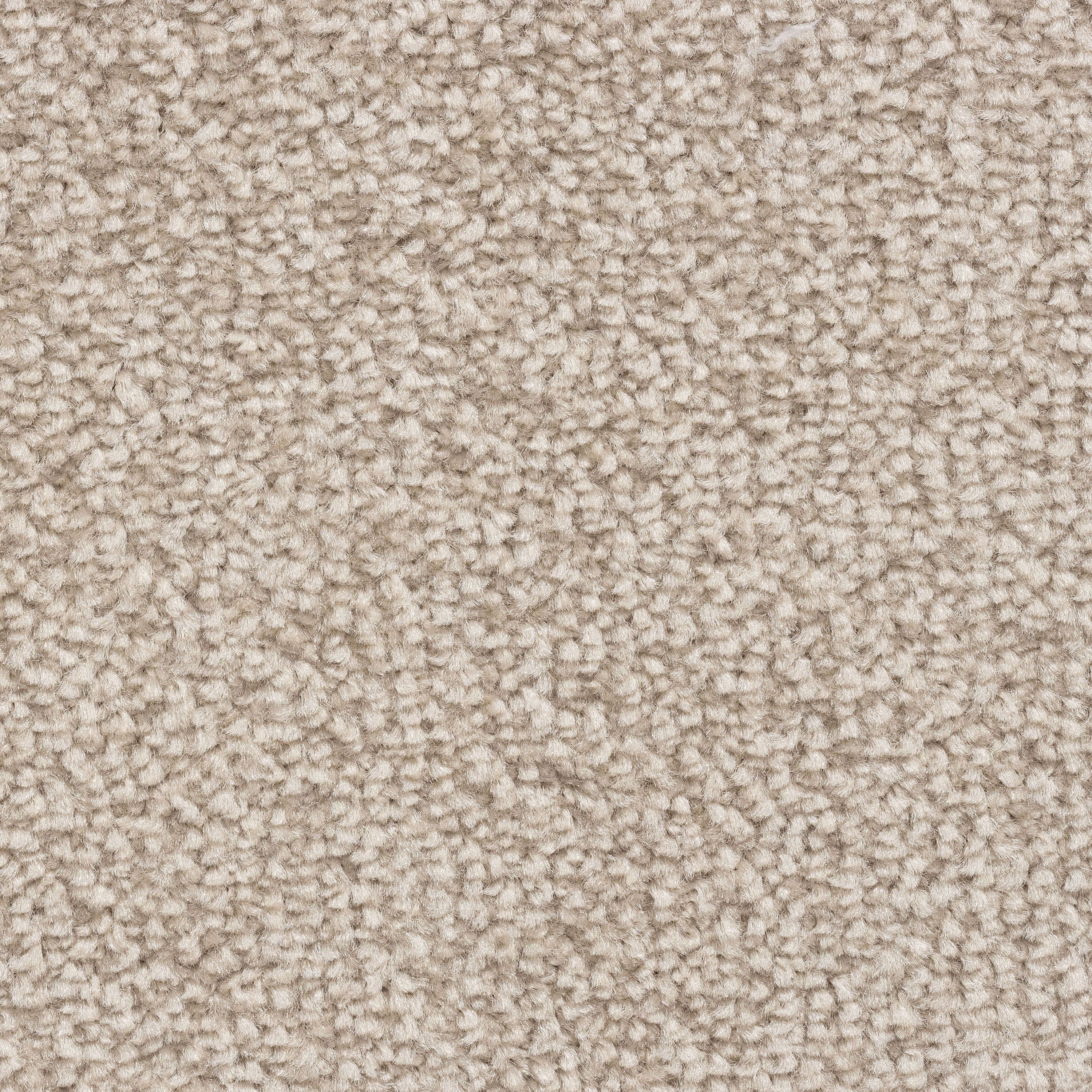 ZENYA Teppich C270RBT00500172, Zenya Lush Teppichfliesen 50x50 cm - Selbstliegend, Beige