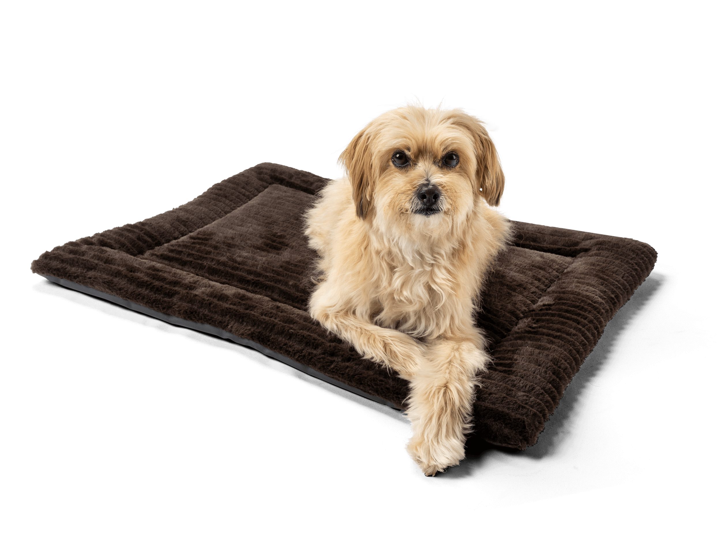 TrendPet Tierdecke Hundedecke "Harmony Flex", 100% günstig online kaufen