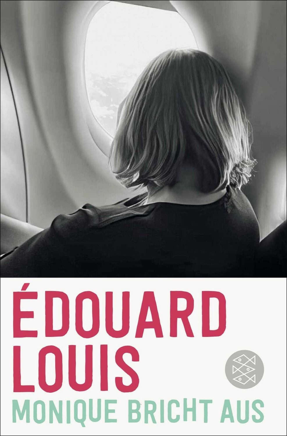 Monique bricht aus / Édouard Louis
