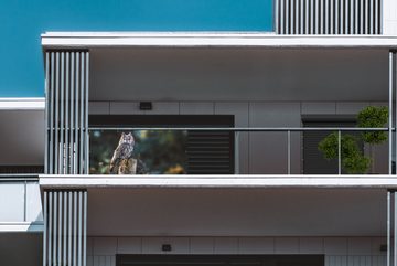 MuchoWow Balkonsichtschutz Eule - Herbst - Vogel - Äste (1-St) Balkonbanner, Sichtschutz für den Balkon, Robustes und wetterfest