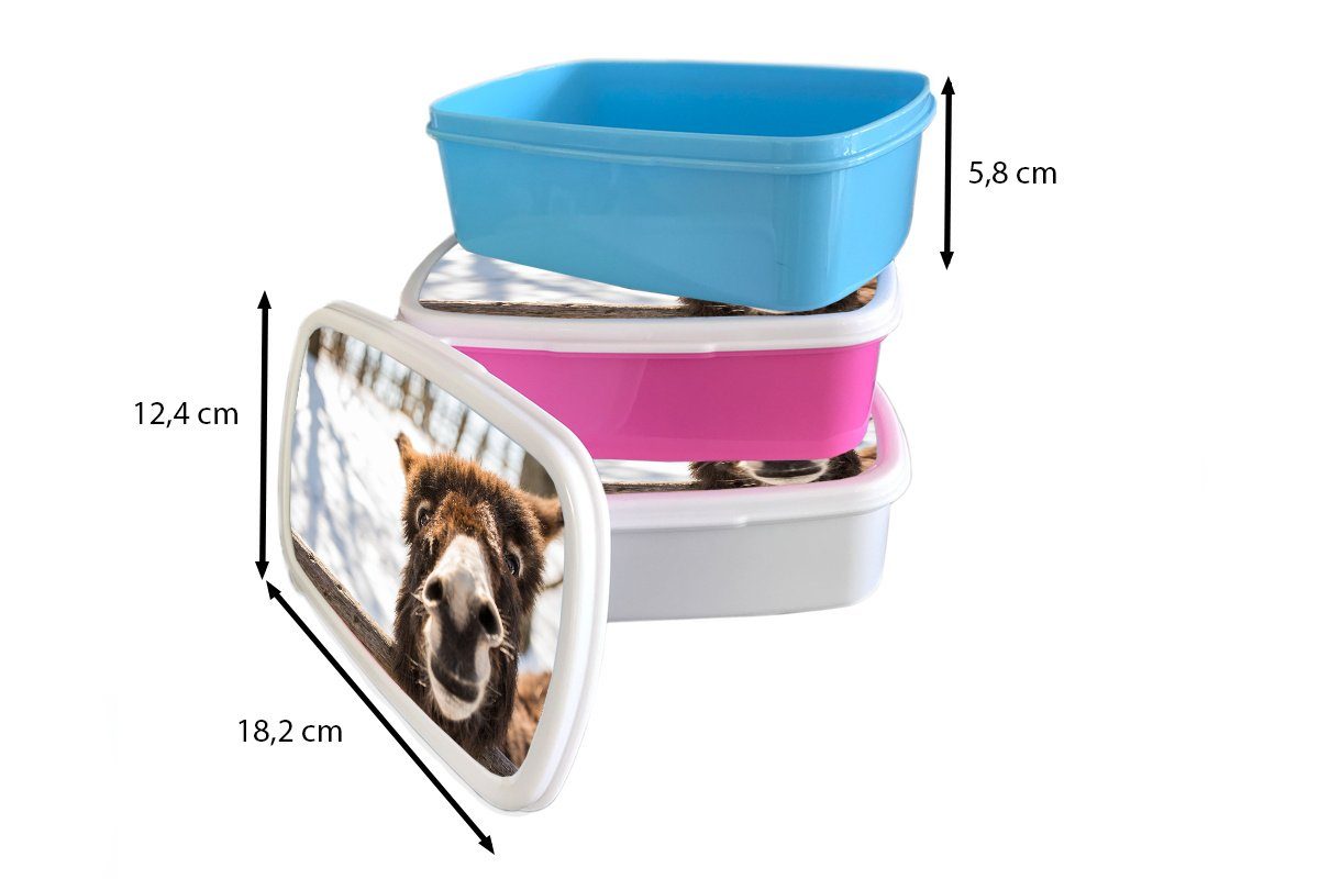 Kunststoff, und für für weiß Brotbox Mädchen (2-tlg), Erwachsene, MuchoWow Neugieriger Kinder und Esel, Brotdose, Jungs Lunchbox