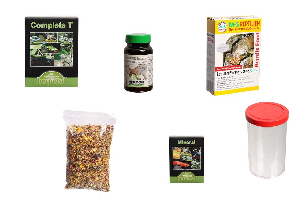 Terrarium LEGUAN Ernährungsset inkl. Vitaminpräparate und Zubehör