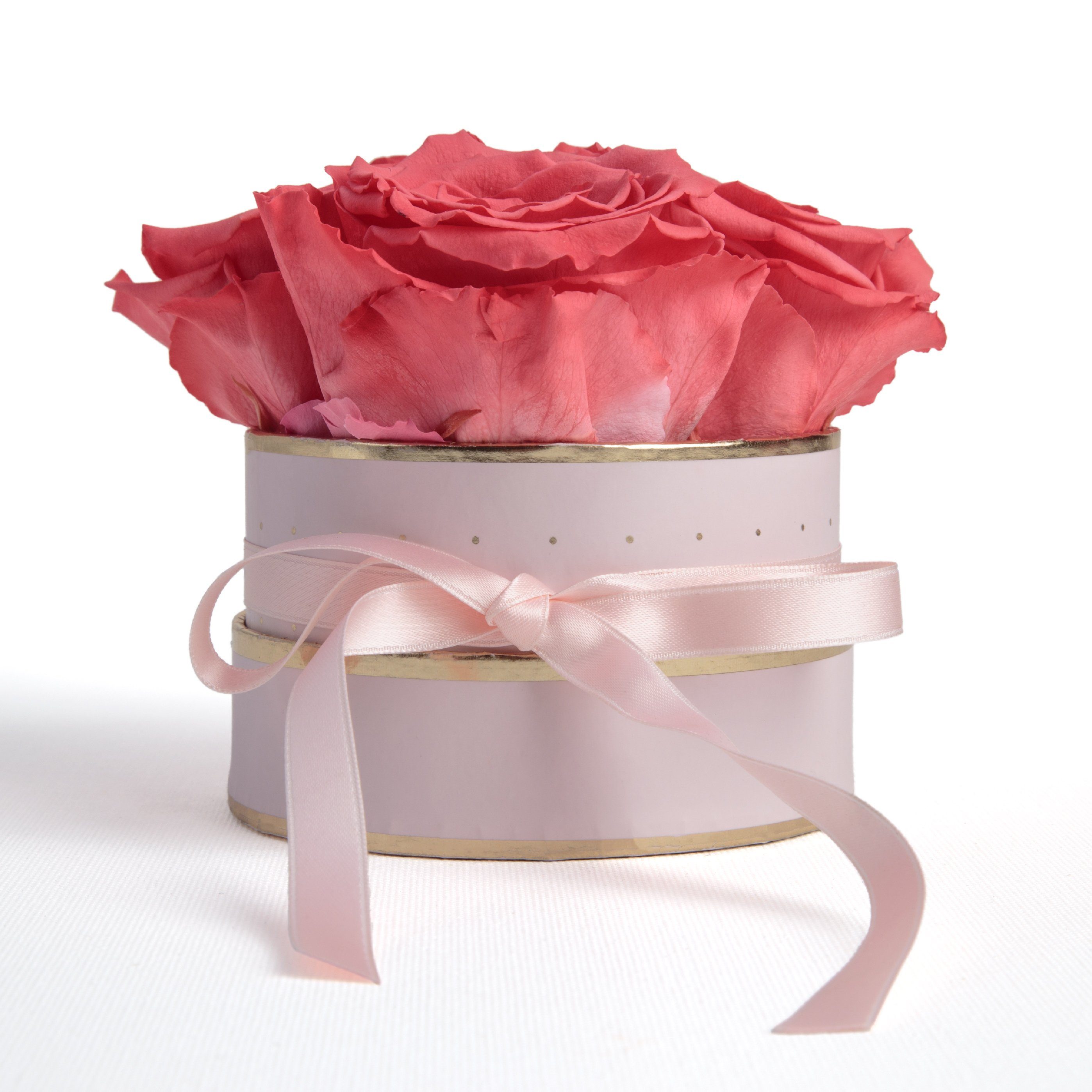 Kunstblume Infinity Rosenbox rosa rund 4 konservierte Rosen Geschenk für Frauen Rose, ROSEMARIE SCHULZ Heidelberg, Höhe 10 cm, echte konservierte Rosen Korall