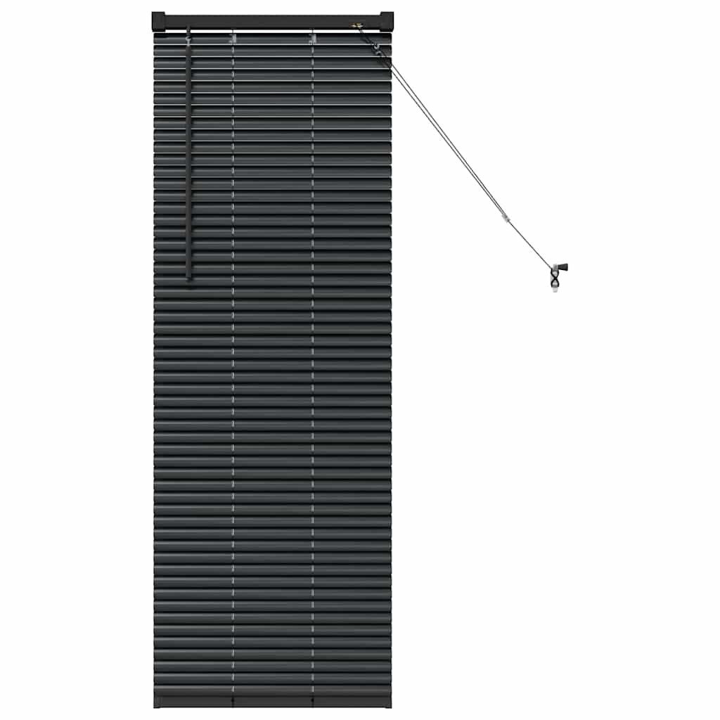 Rollo Fensterjalousie mit Vorhängen Schwarz Aluminium, günstig online kaufen