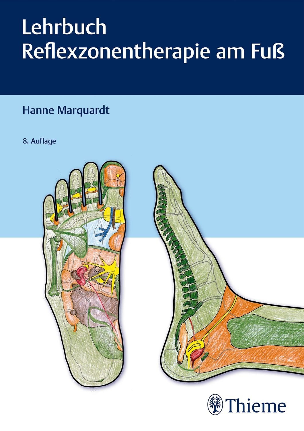 Lehrbuch Reflexzonentherapie am Fuß / Hanne Marquardt