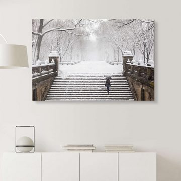 Posterlounge XXL-Wandbild Editors Choice, Winter im Central Park, Wohnzimmer Fotografie