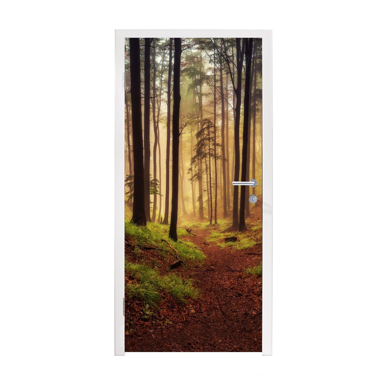 Tür, Fototapete für 75x205 cm - bedruckt, Türaufkleber, Matt, St), Türtapete - Bäume Wald, (1 MuchoWow Natur