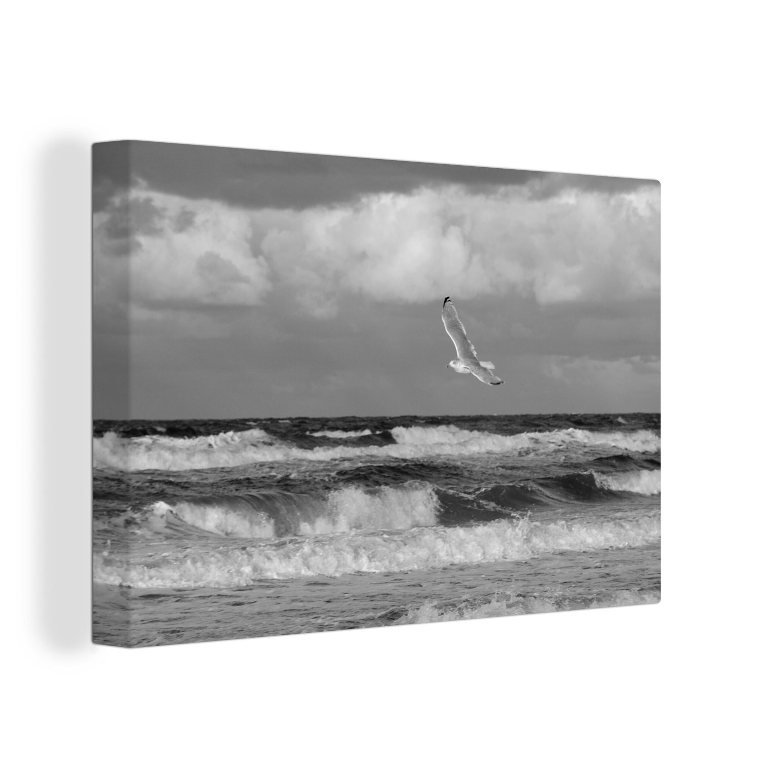 OneMillionCanvasses® Leinwandbild Möwe über der Ostsee - schwarz und weiß, günstig online kaufen