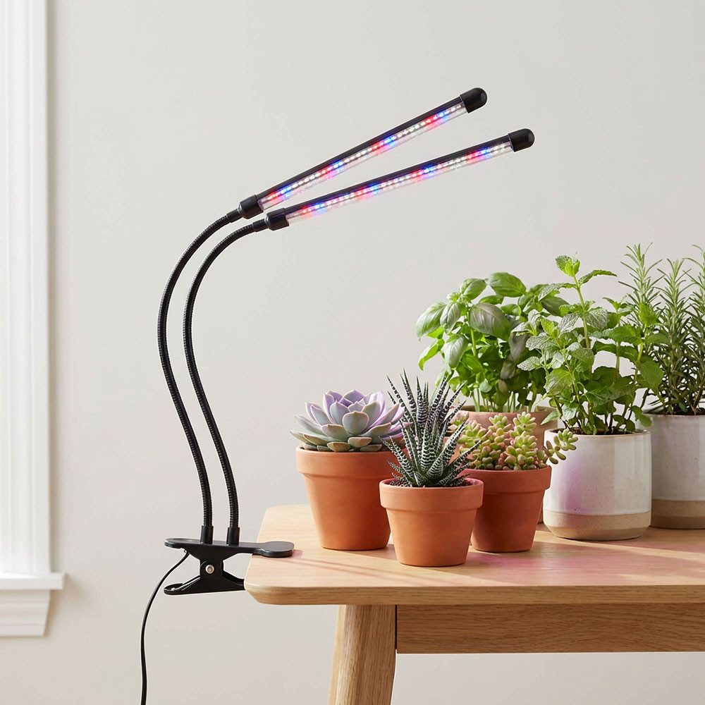 GLOBO LIGHTING LED Klemmleuchte, LED-Leuchtmittel fest verbaut, Kaltweiß, Tageslichtweiß, Klemmstrahler Pflanzenlampe Wachstumslampe IP44 Tischlampe Dimmer