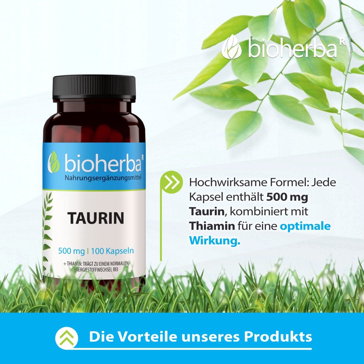 BIOHERBA R Bioherba Taurin 500 mg 100 Kapseln Tropfen, 1 er