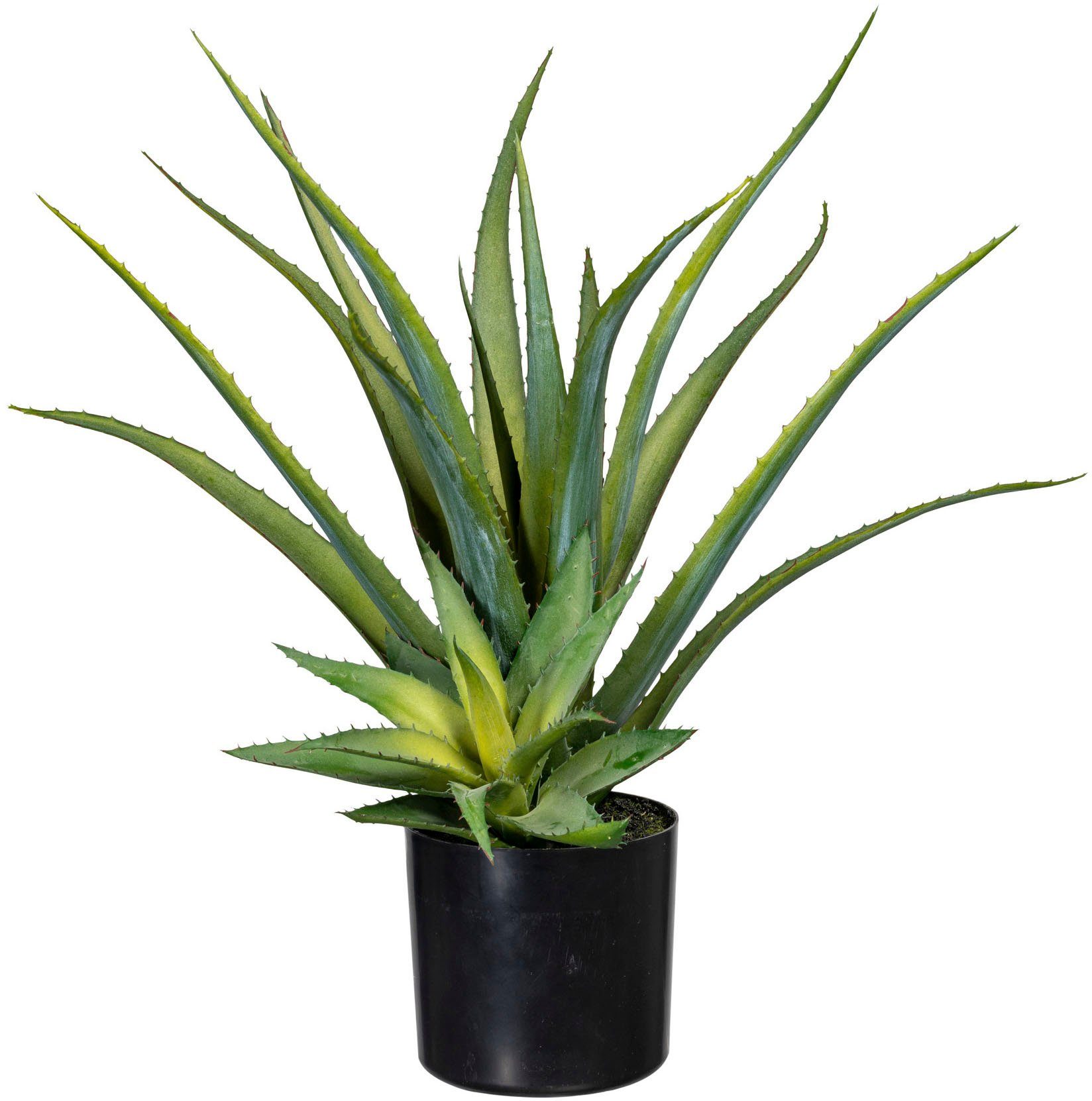 Künstliche Zimmerpflanze Deko-Sukkulente Aloe Aloe, Creativ günstig online kaufen