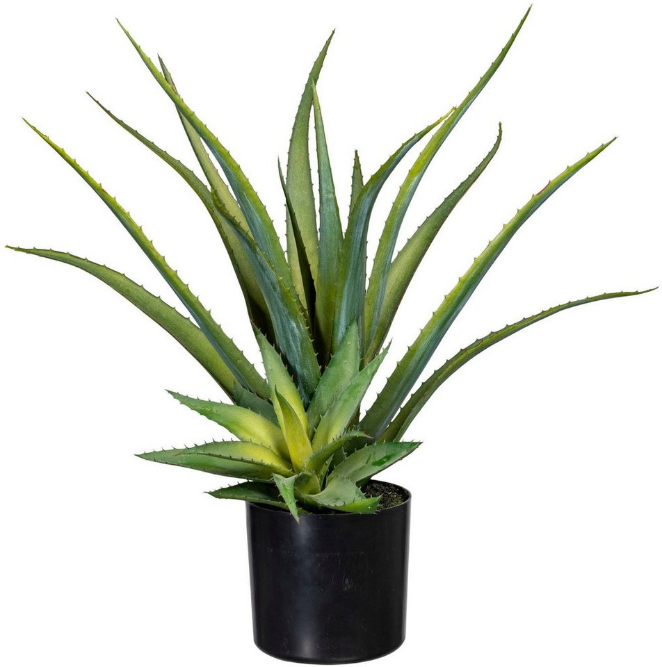 Künstliche Zimmerpflanze Deko-Sukkulente Aloe Aloe, Creativ green, Höhe 48  cm, Langlebig, pflegeleicht und vielseitig verwendbar