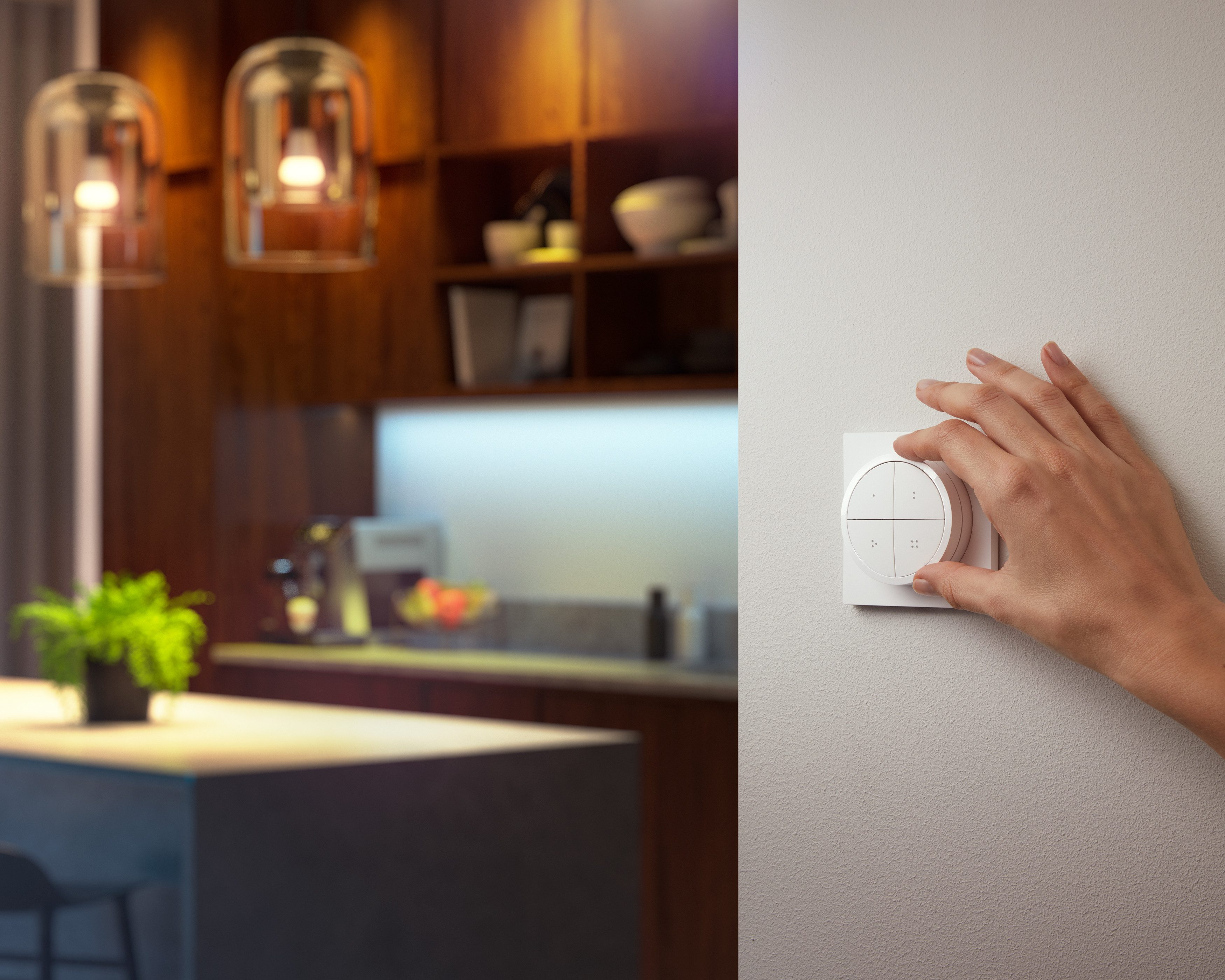 Philips Hue Schalter Tap Dial (2-St)