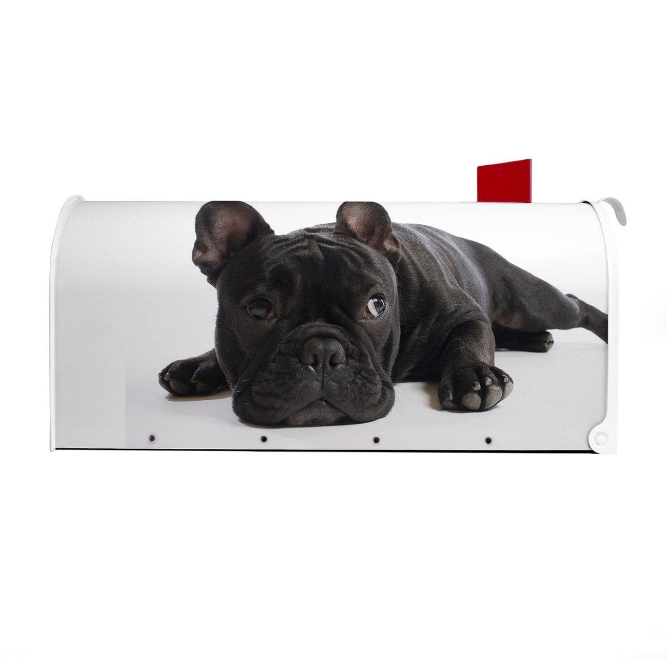 cm weiß Briefkasten, Mailbox 51 (Amerikanischer 17 Bulldogge x Amerikanischer USA), Briefkasten x banjado 22 Mississippi aus original