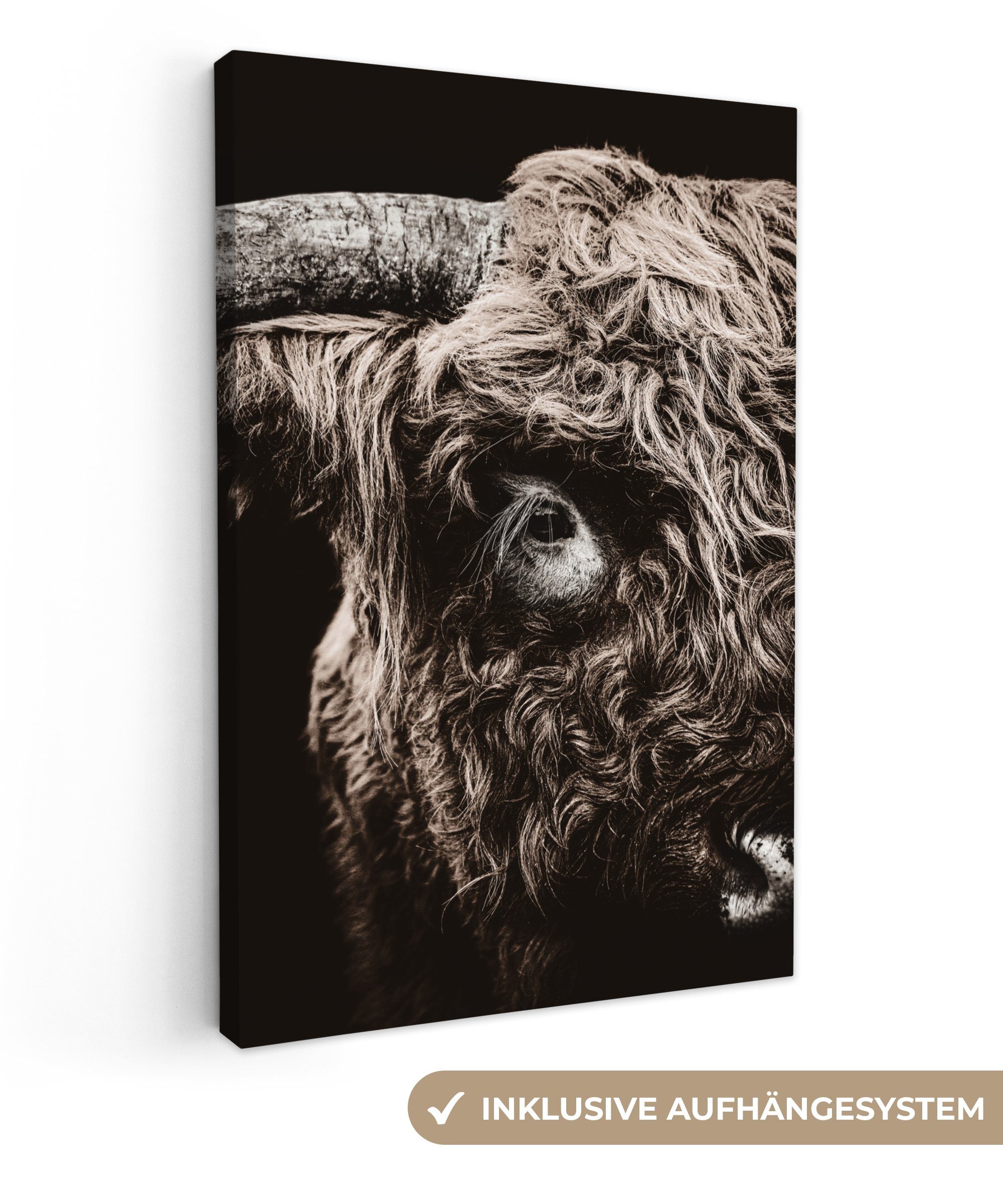 OneMillionCanvasses® Leinwandbild Schottischer Highlander - Stier, Kuh cm 20x30 Zackenaufhänger, inkl. St), - Gemälde, bespannt (1 Leinwandbild fertig