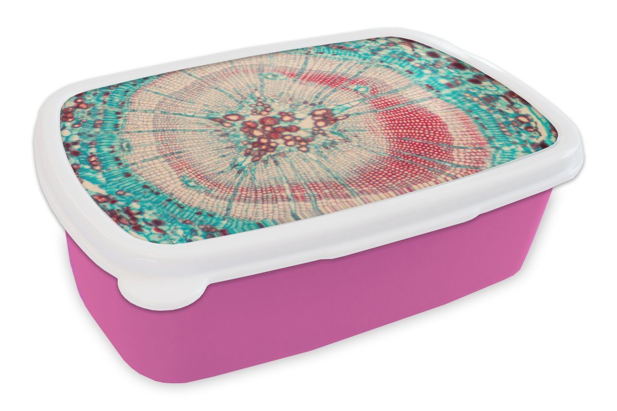 MuchoWow Lunchbox Kreis - Blau - Rot, Kunststoff, (2-tlg), Brotbox für Erwachsene, Brotdose Kinder, Snackbox, Mädchen, Kunststoff rosa
