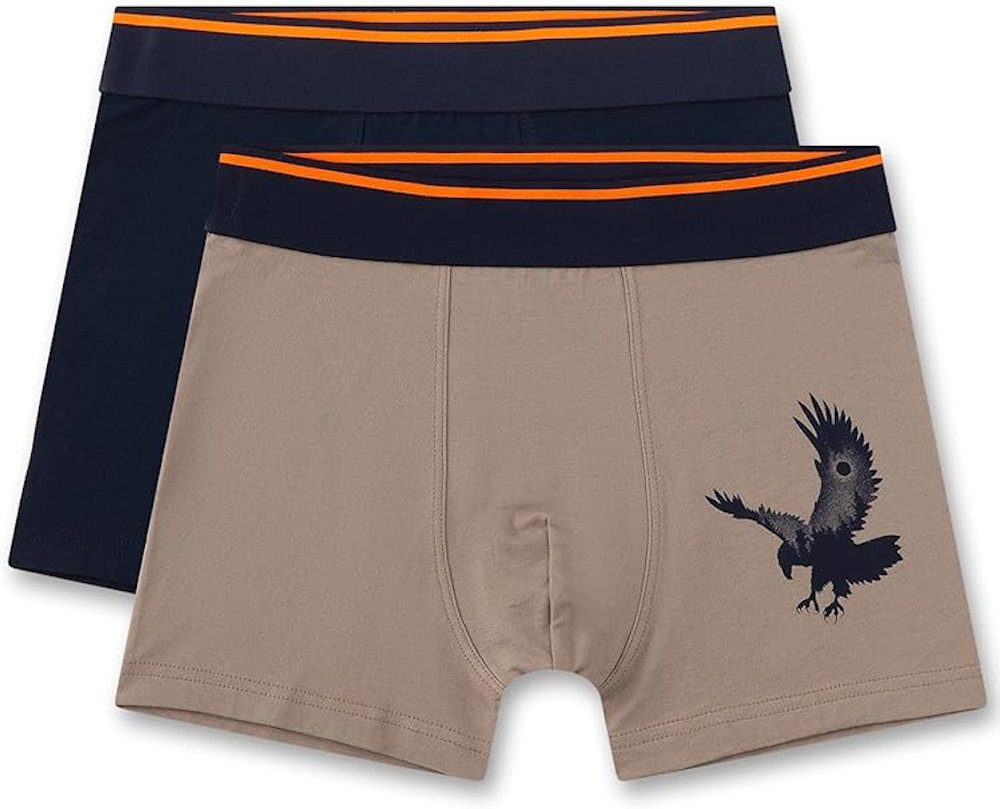 Sanetta Slip Sanetta Jungen 2er Pack Unterhosen Boxershorts Adler braun schwarz (Doppelpack, 1-St)