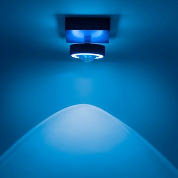 Paul Neuhaus Smarte LED-Leuchte LED Deckenleuchte anthrazit Q - MIA Smart Home, Smart Home, CCT-Farbtemperaturregelung, RGB-Farbwechsel, Dimmfunktion, Memoryfunktion, mit Leuchtmittel, Deckenspot dimmbar, Fernbedienung Works with Alexa
