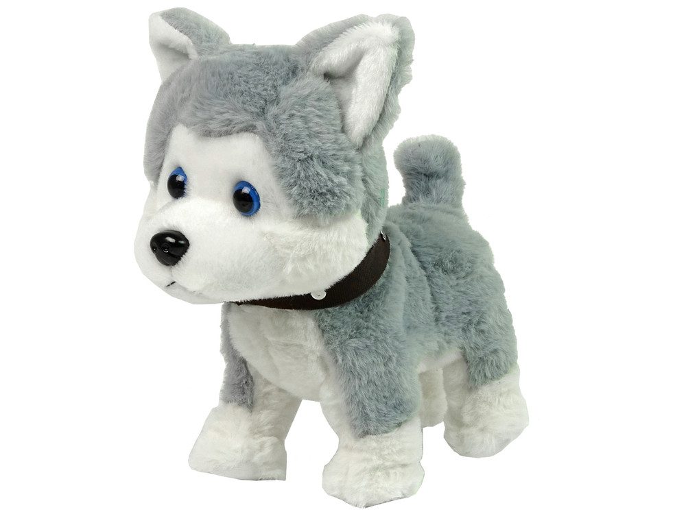 LEAN Toys Tier-Intelligenzspielzeug Plüschhund Interaktiv Lernleine günstig online kaufen