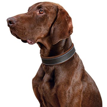 Schecker Hunde-Halsband Schecker Hunde Halsband Moorfeuer - braun-cognac, Echtleder, Deshalb halten wir bei diesem hochwertigen Artikel allerhöchste Qualitäts- und Sicherheitsnormen für erforderlich.