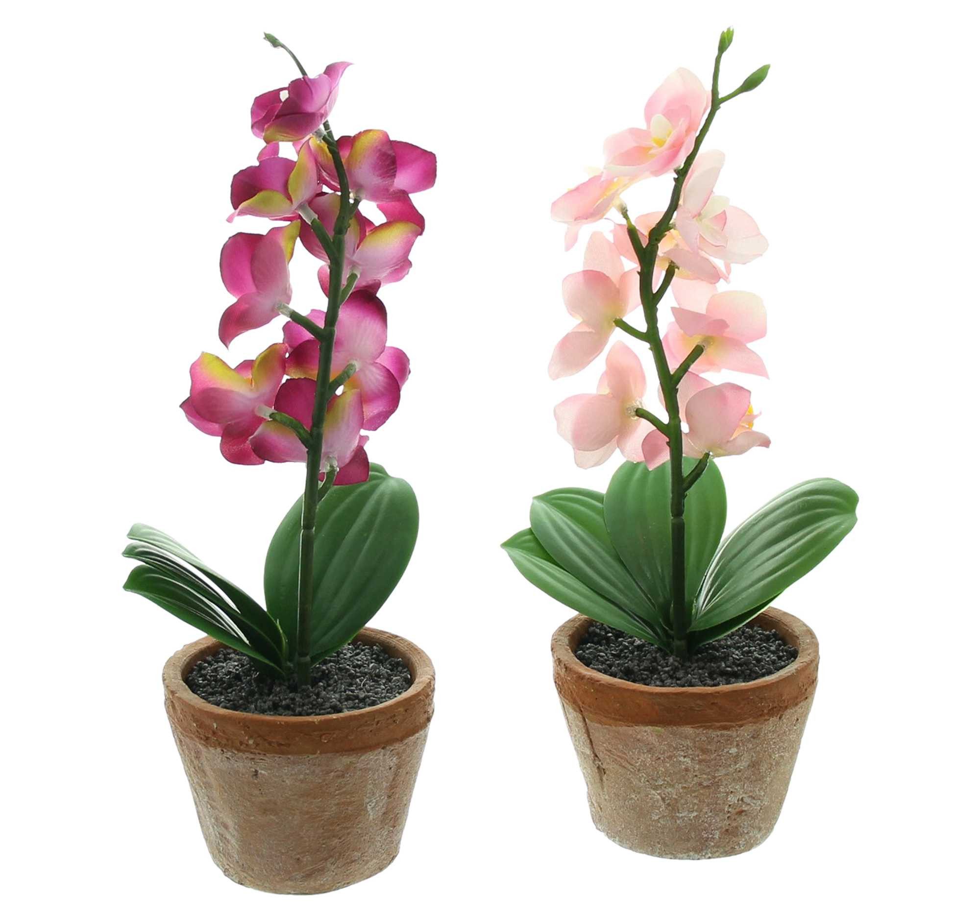 Kunstorchidee im Topf, Kunstpflanze, 2er Set künstliche Orchidee, Kunstblumen Orchidee, Dekoleidenschaft, Höhe 25 cm, Pflanzen wie echt, kleine Blumen in rosa und pink