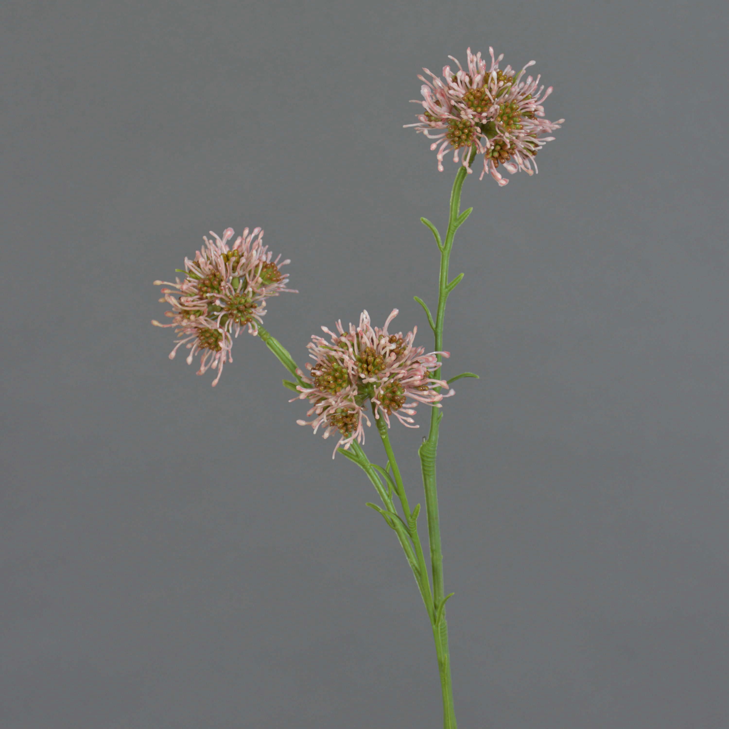 Kunstzweig Kunstblumen Zweig Allium Zebu, rosa, 65cm, Ø6cm Allium, artplants, Höhe 65.0 cm