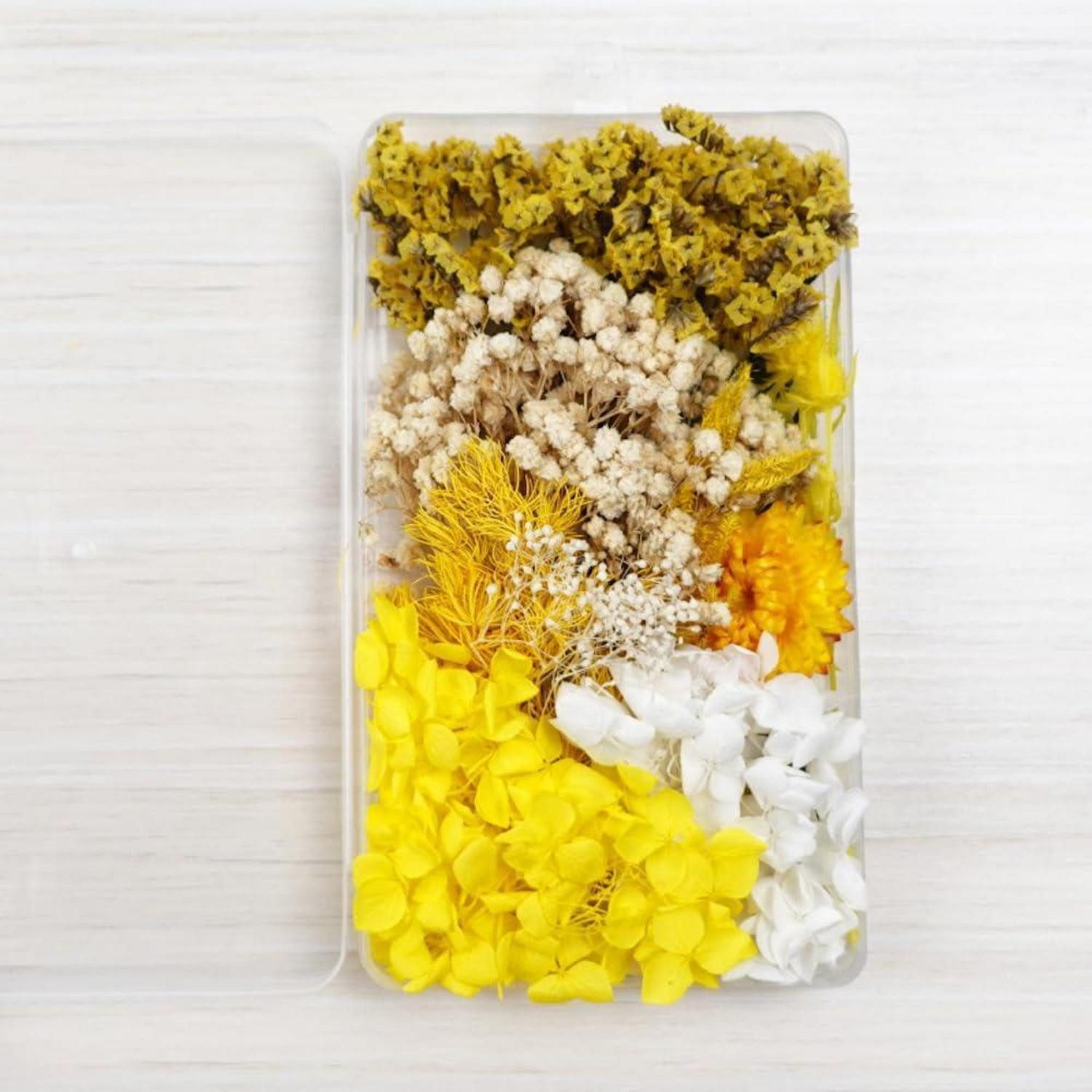 Trockenblume Getrocknete Blumen DIY Bunt Handgemacht 17.5x10x2.2cm, LuxusKollektion