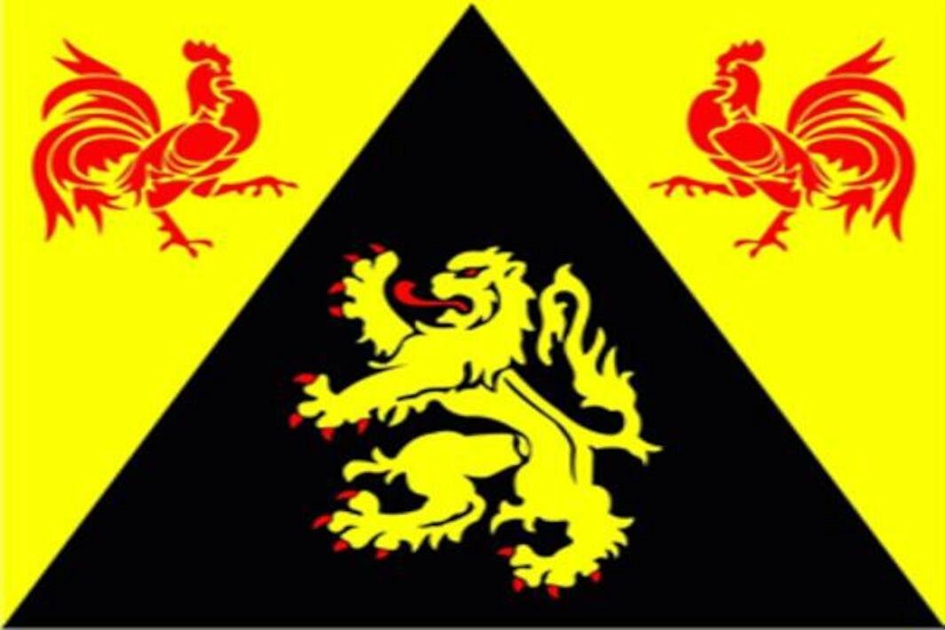 flaggenmeer Flagge Wallonisch-Brabant 80 g/m²