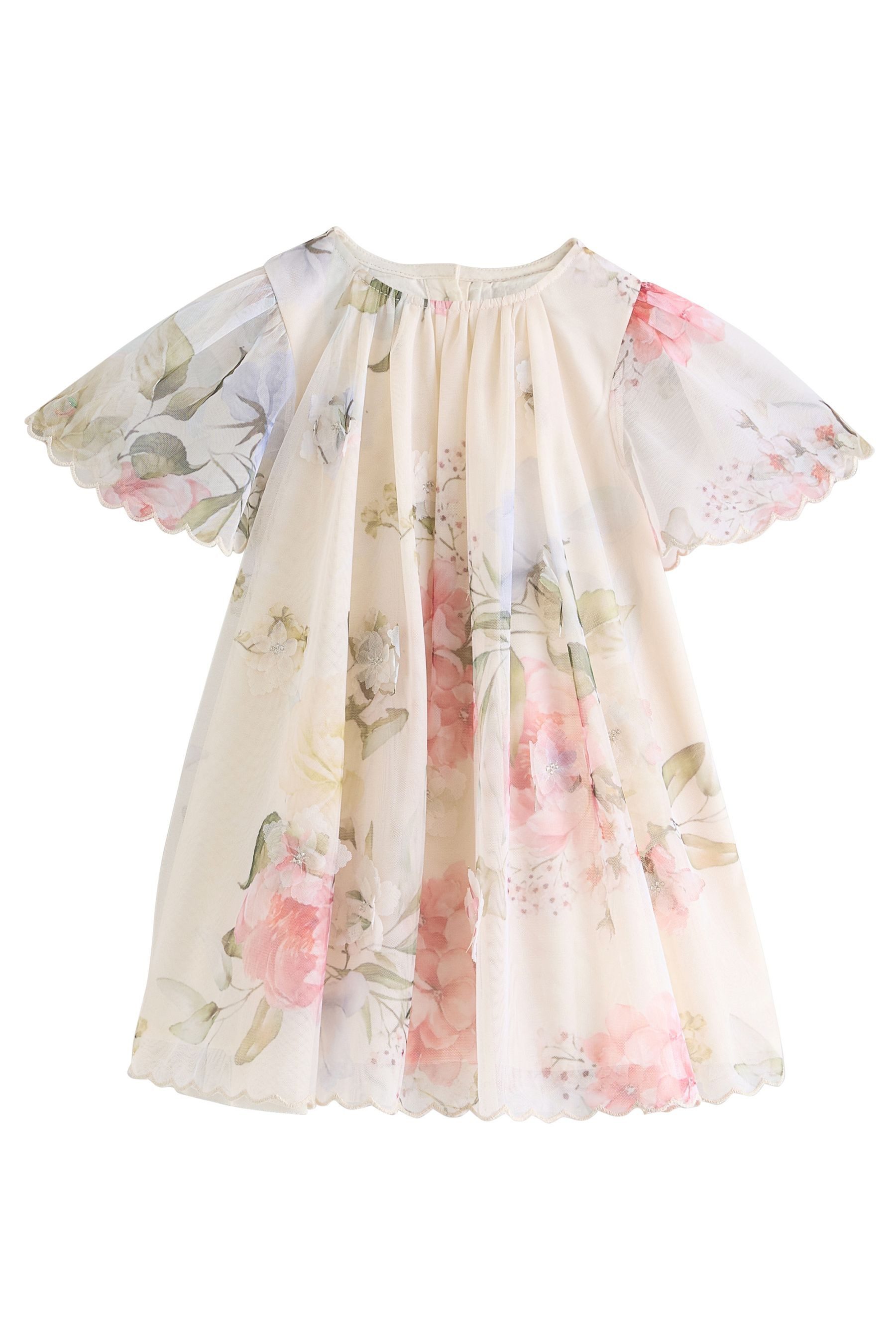 Next Partykleid Mesh-Partykleid mit kurzen Ärmeln günstig online kaufen