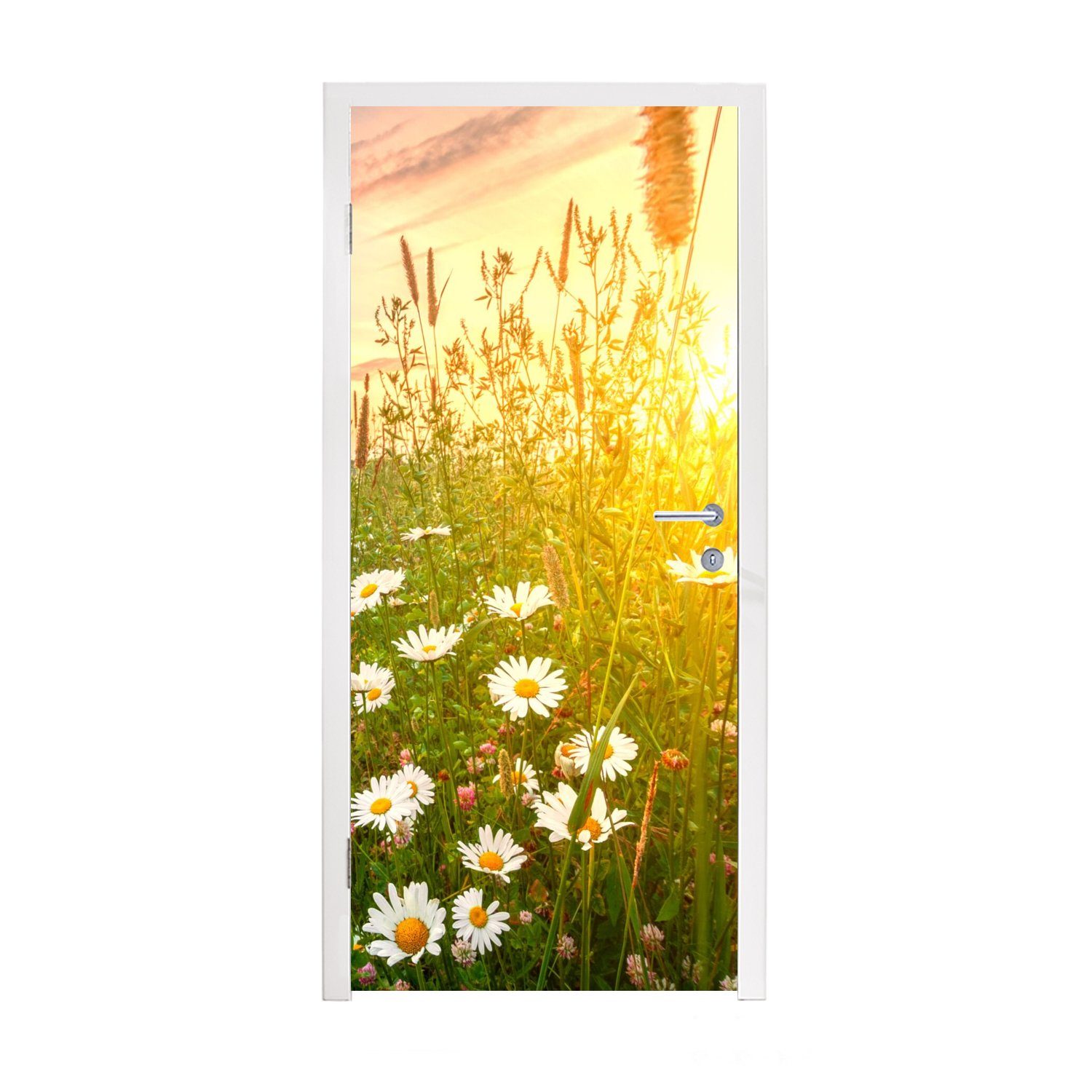 MuchoWow Türtapete Blumen - Gänseblümchen - Natur - Sonne - Horizont, Matt, bedruckt, (1 St), Fototapete für Tür, Türaufkleber, 75x205 cm