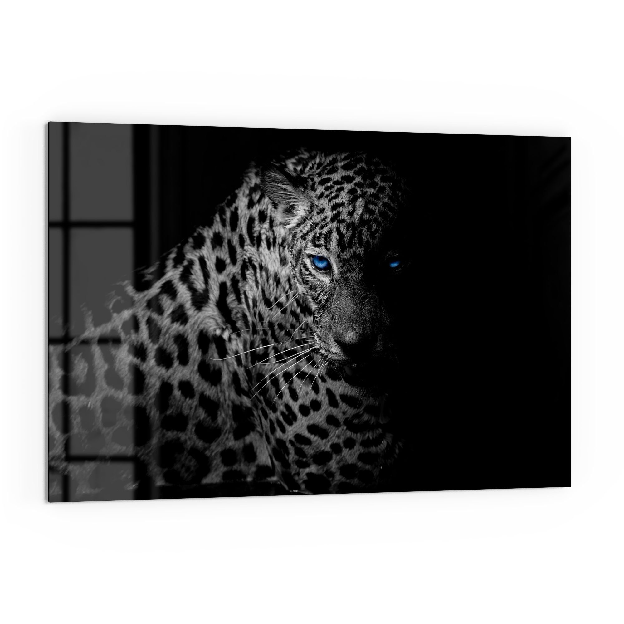 DEQORI Küchenrückwand 'Leopard mit Herdblende Badrückwand Augen', blauen Glas Spritzschutz