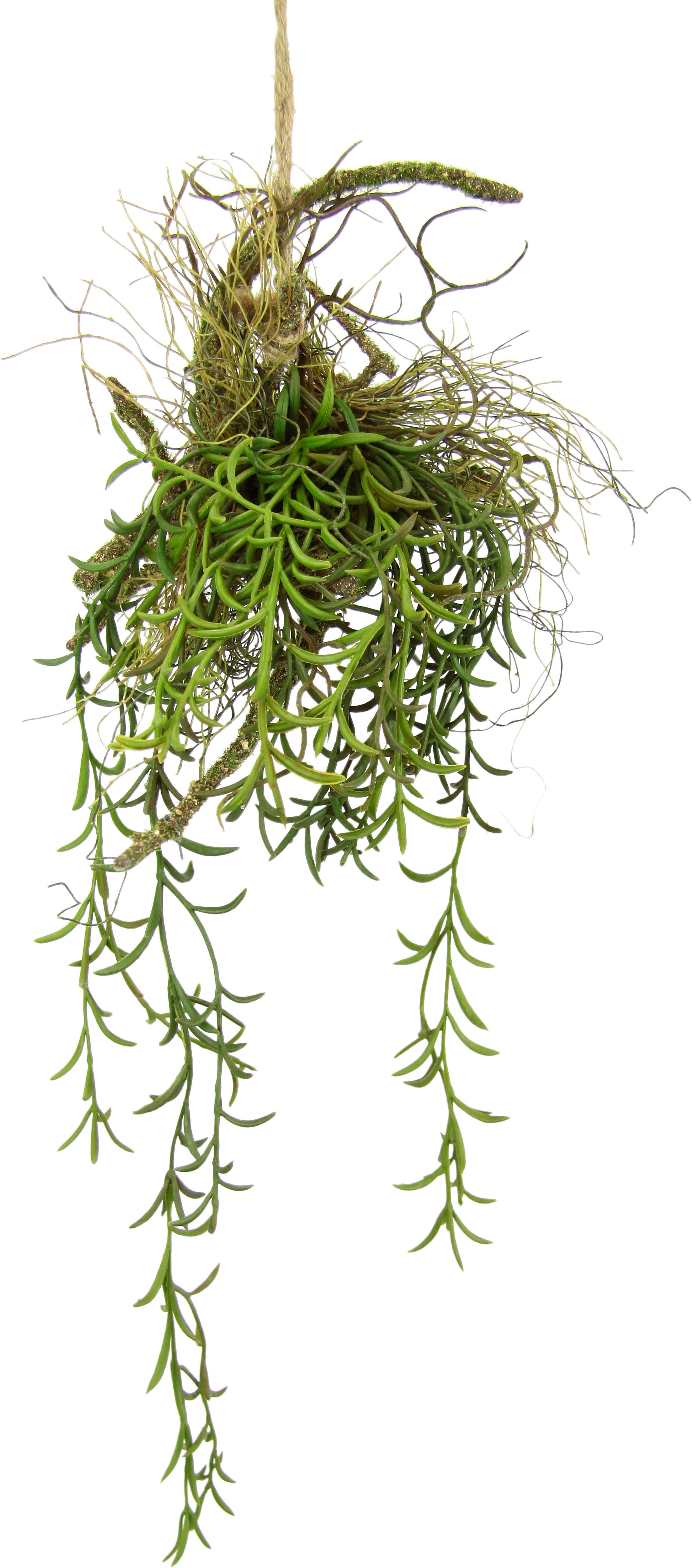 Kunstpflanze Tillandsia