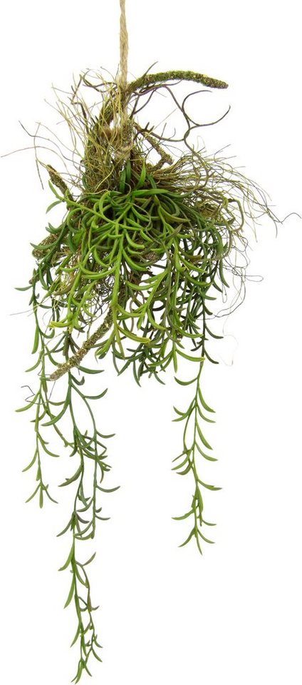 Kunstpflanze Tillandsia, I.GE.A., Höhe 72 cm, Hänger auf Ast Künstlicher  Moos Hängeampel Kunstpflanze