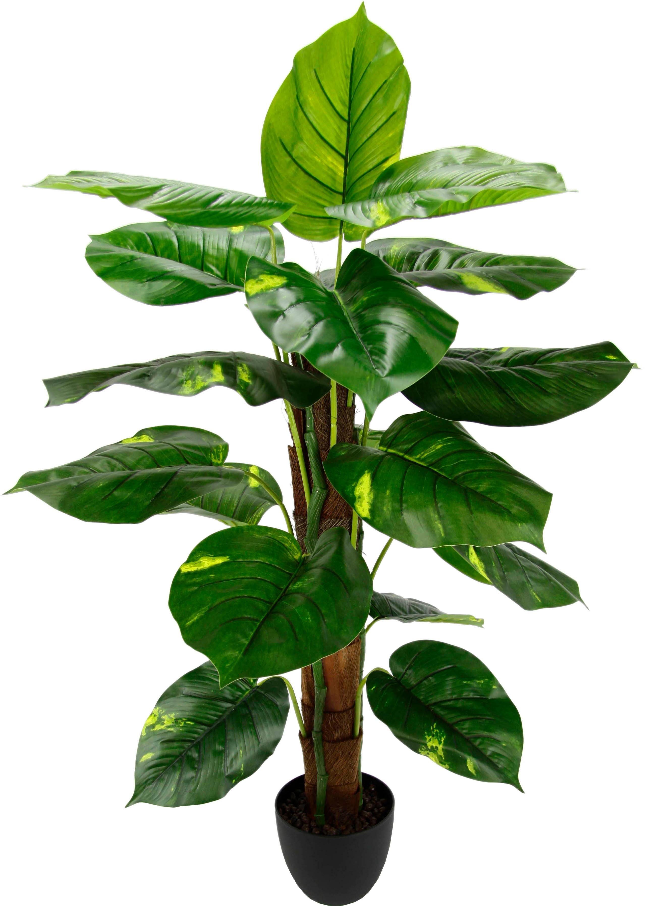Pothospflanze, Kunstpflanze I.GE.A., 85 Höhe cm