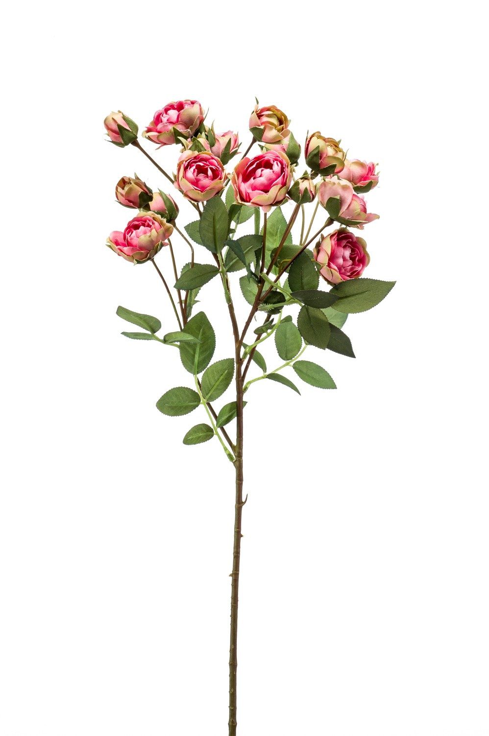 Kunstzweig Dekozweig Rosen TOSSA, pink-grün, 55cm Rose, artplants, Höhe 60.0 cm