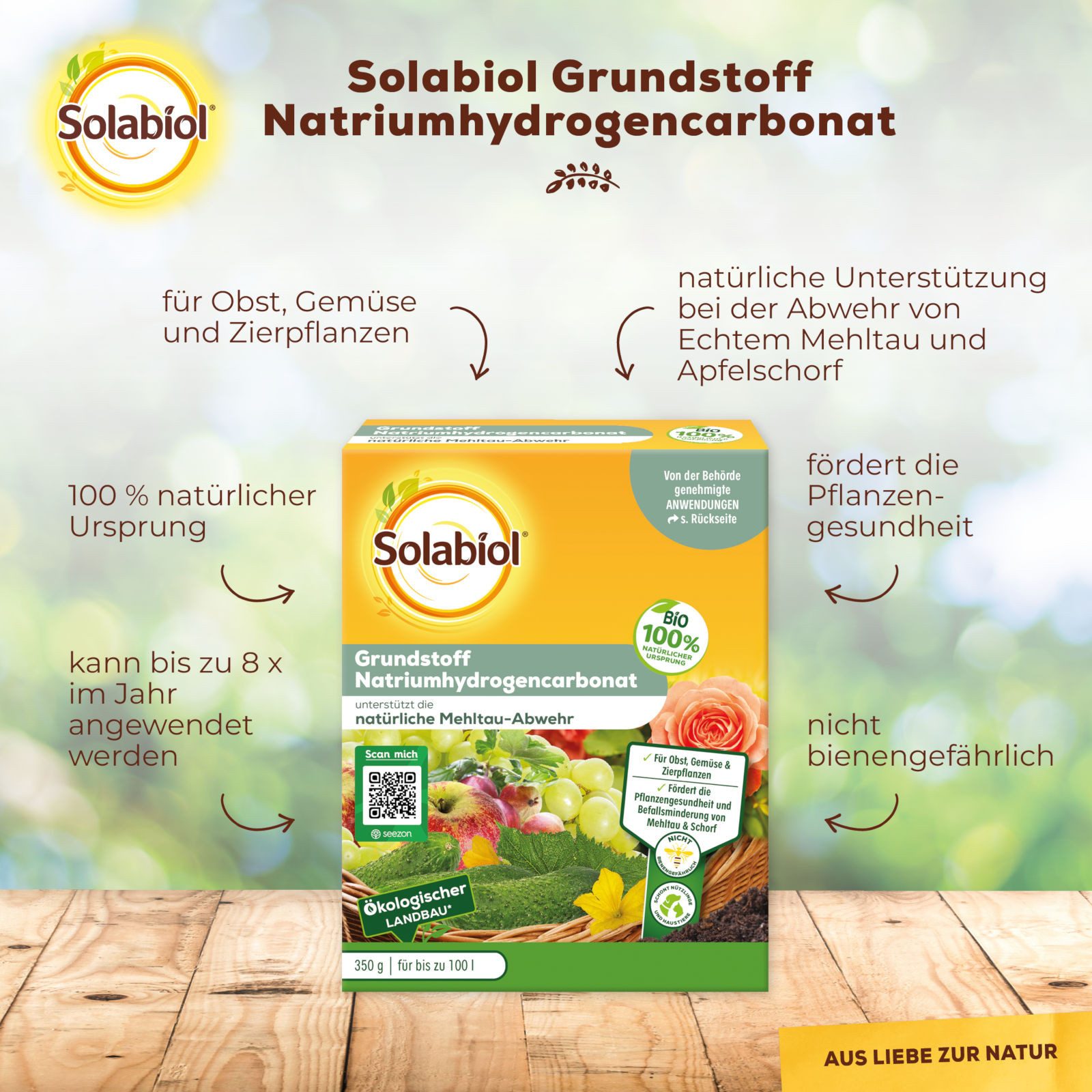 Solabiol Pflanzenstärkungsmittel Grundstoff Natriumhydrogencarbonat 350 g