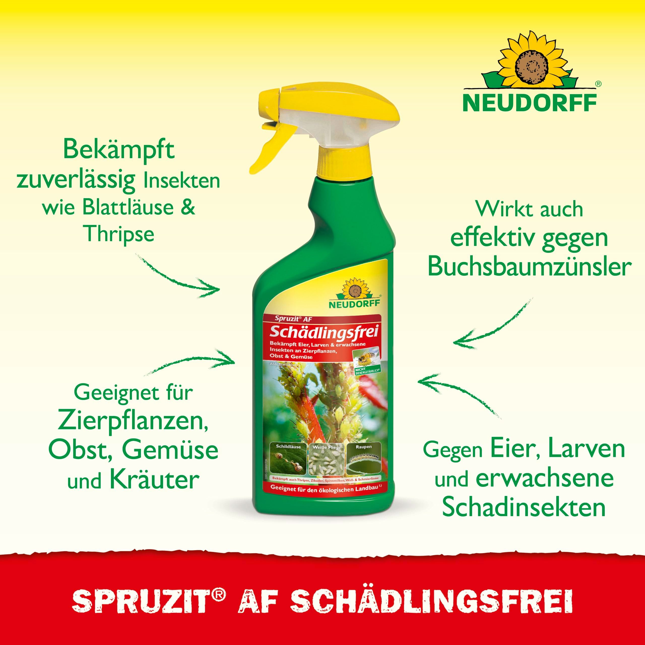 Neudorff Insektenspray Spruzit AF Schädlingsfrei 500 ml, 500 ml, Einsetzbar an Zierpflanzen, Gemüse, Obst und Kräutern, Schädlinge: Buchsbaumzünsler, Blattläuse, Thripse biologisch bekämpfen