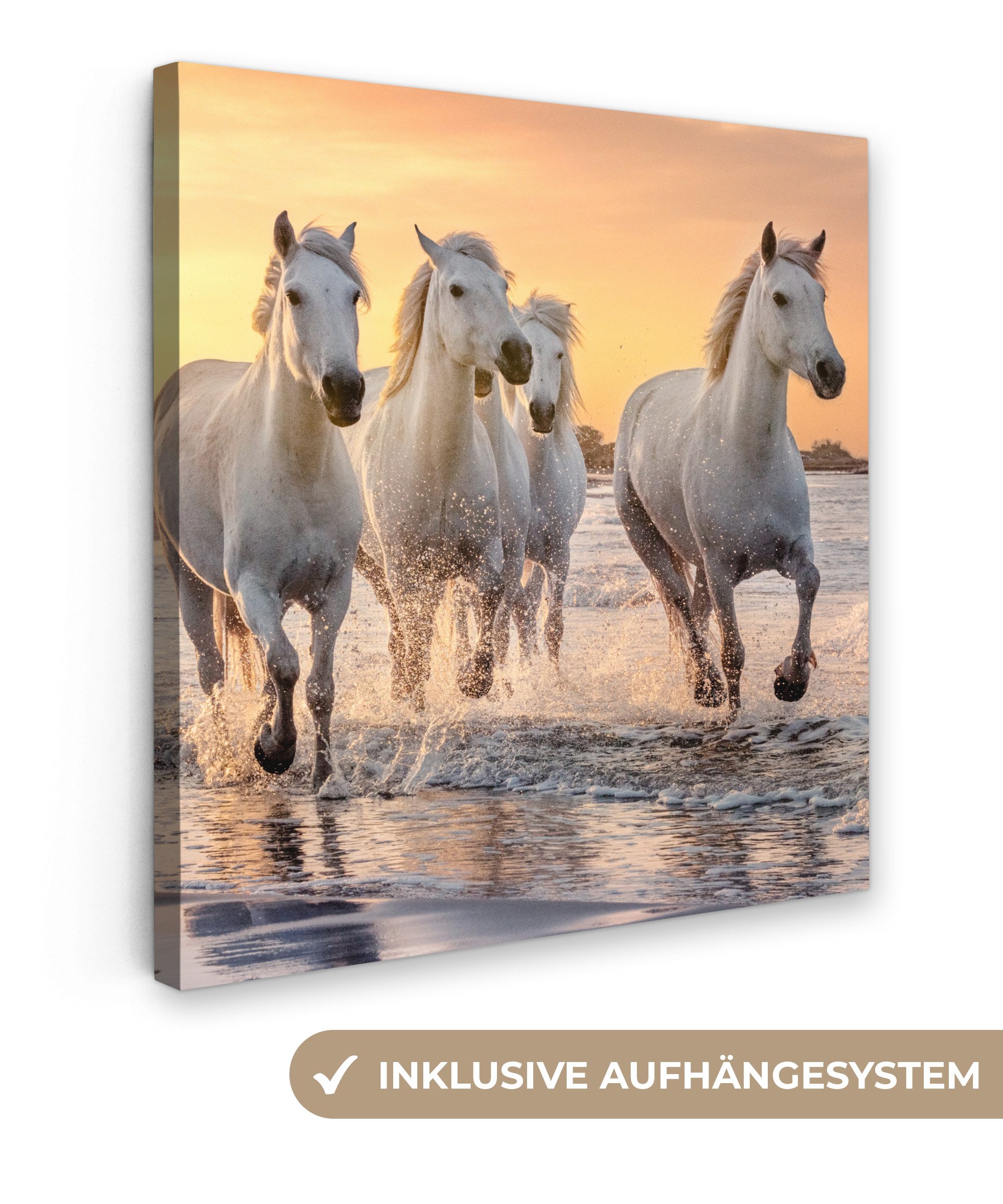 OneMillionCanvasses® Leinwandbild Pferde - Sonne - Meer - Strand - Tiere, F günstig online kaufen