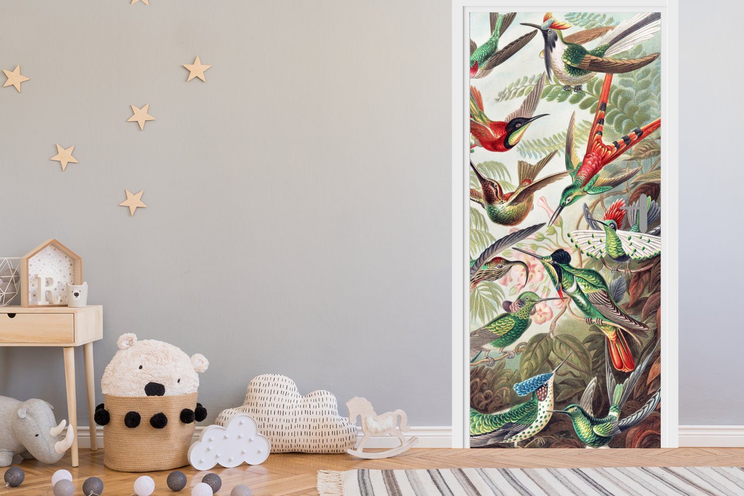 - - Türaufkleber, MuchoWow 75x205 Matt, Kolibri Ernst (1 Vintage Türtapete St), für Vogel Kunst Fototapete - - - bedruckt, Natur, cm Tür, Haeckel