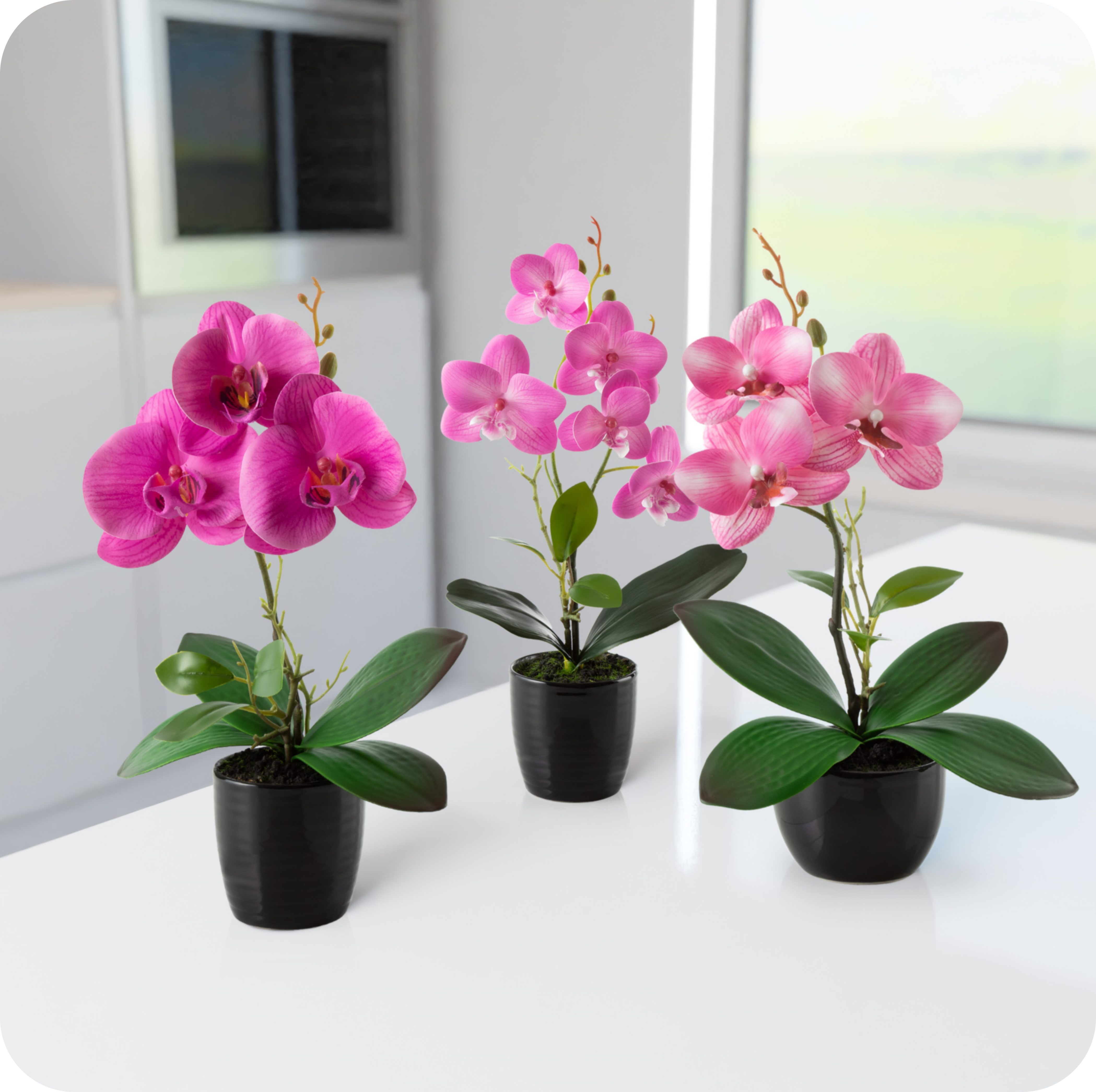 Kunstorchidee 3er Set künstliche Orchideen wie echt (35cm) in Hochglanz-Keramiktopf Orchidee, PASCH