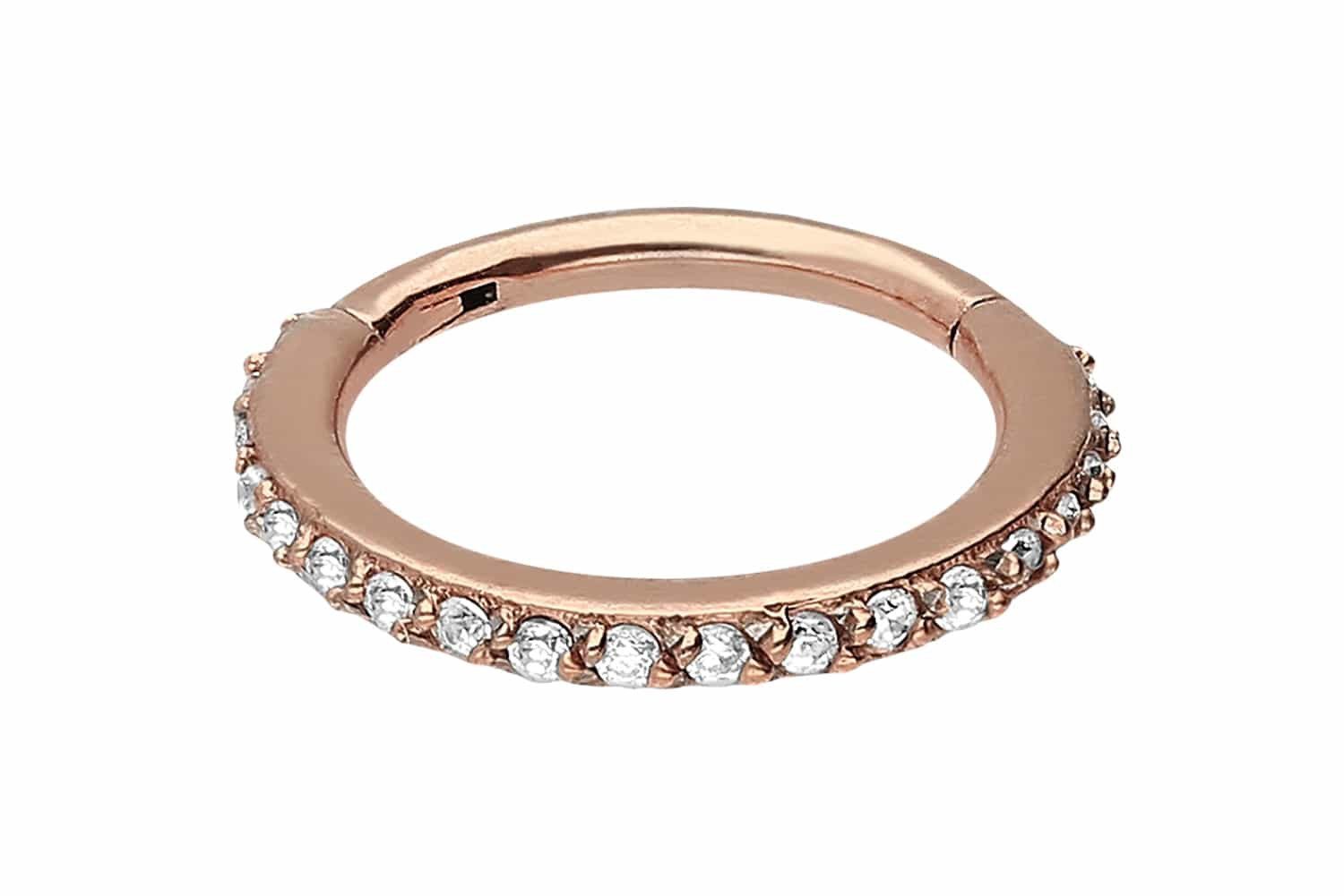 PIERCINGLINE Nasenpiercing Chirurgenstahl Segmentring Clicker EINGEFASSTE K günstig online kaufen