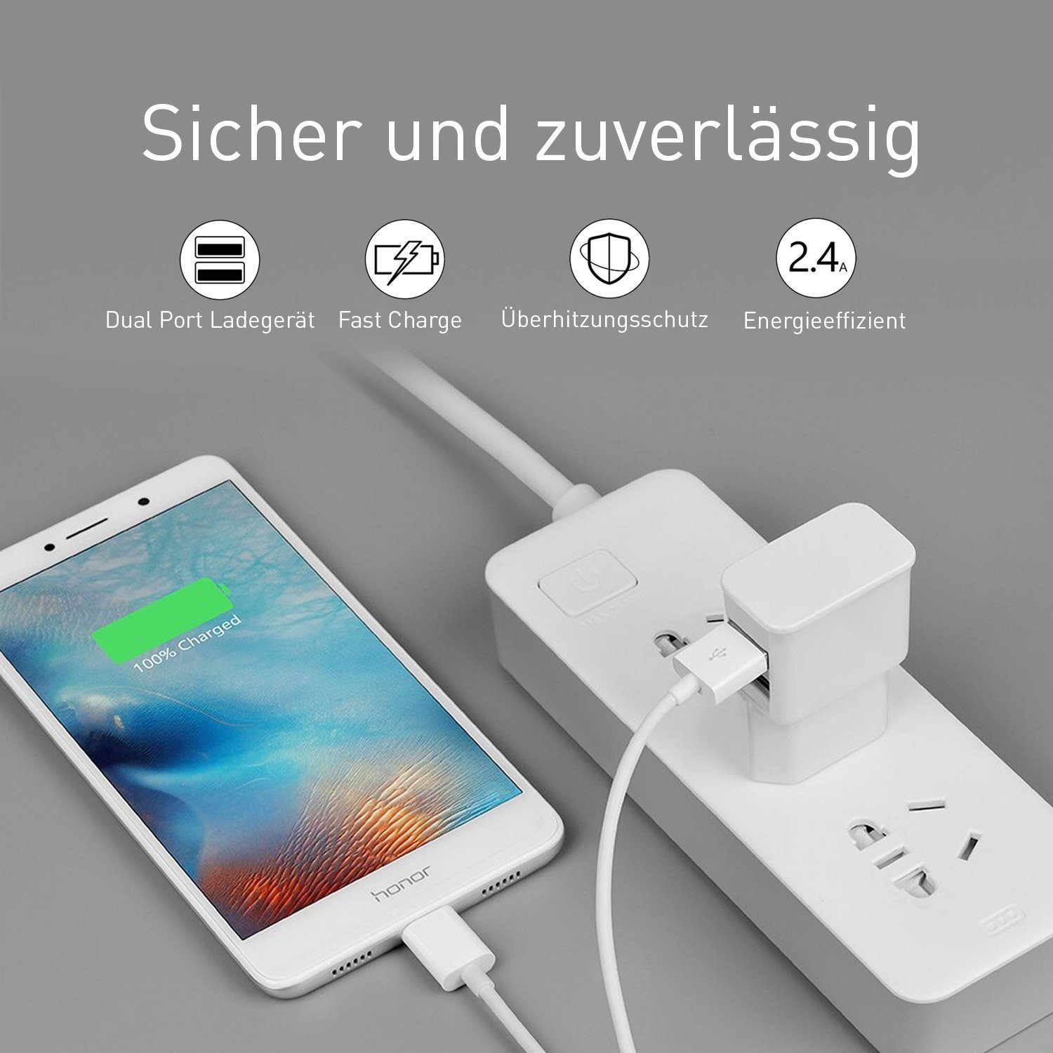 Wicked Chili 4er Set Pro Series Dual USB Ladegerät 12W / 2400mA Steckernetzteil
