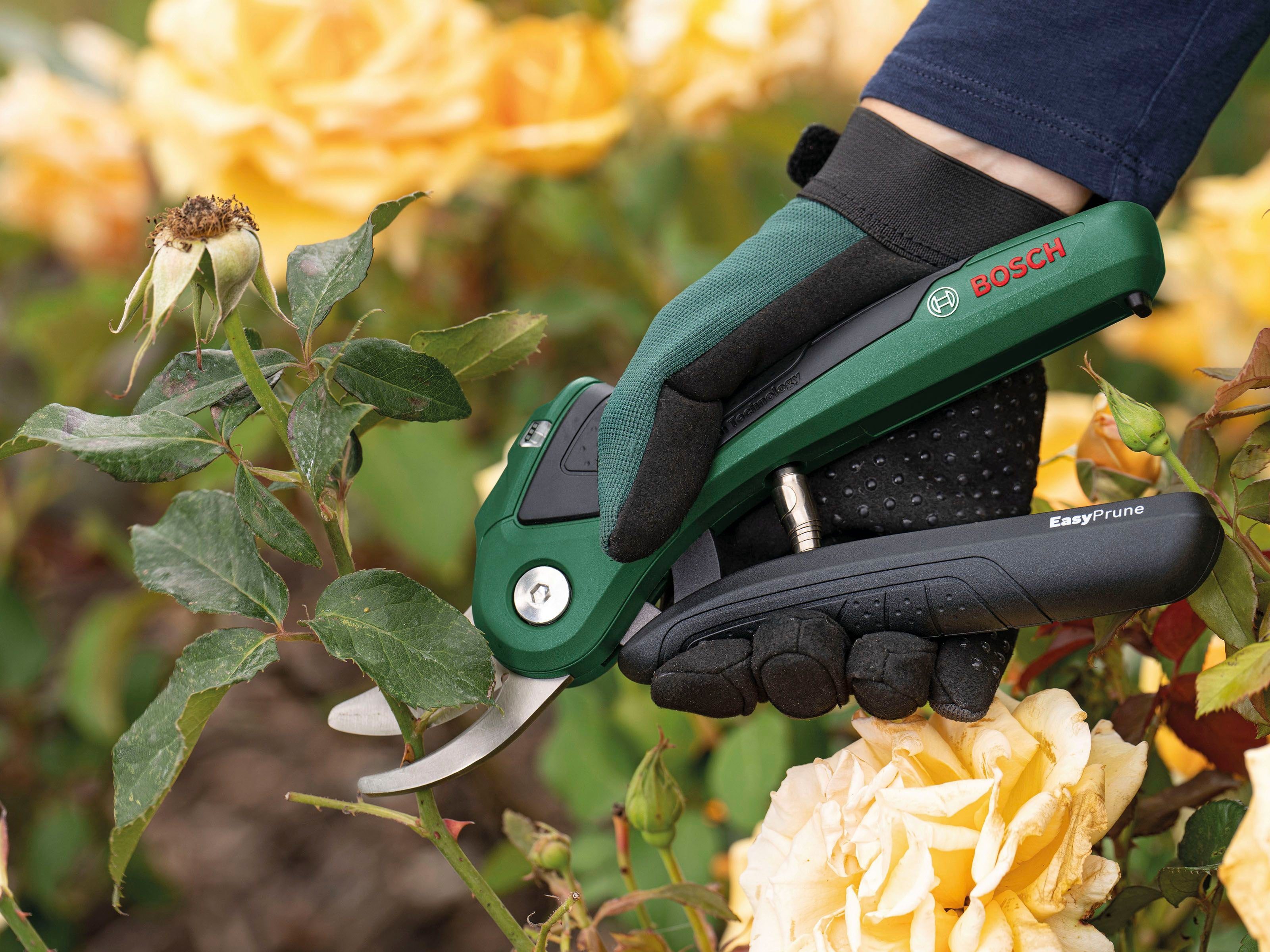 Bosch Home & Garden Akku-Astschere EasyPrune, günstig online kaufen