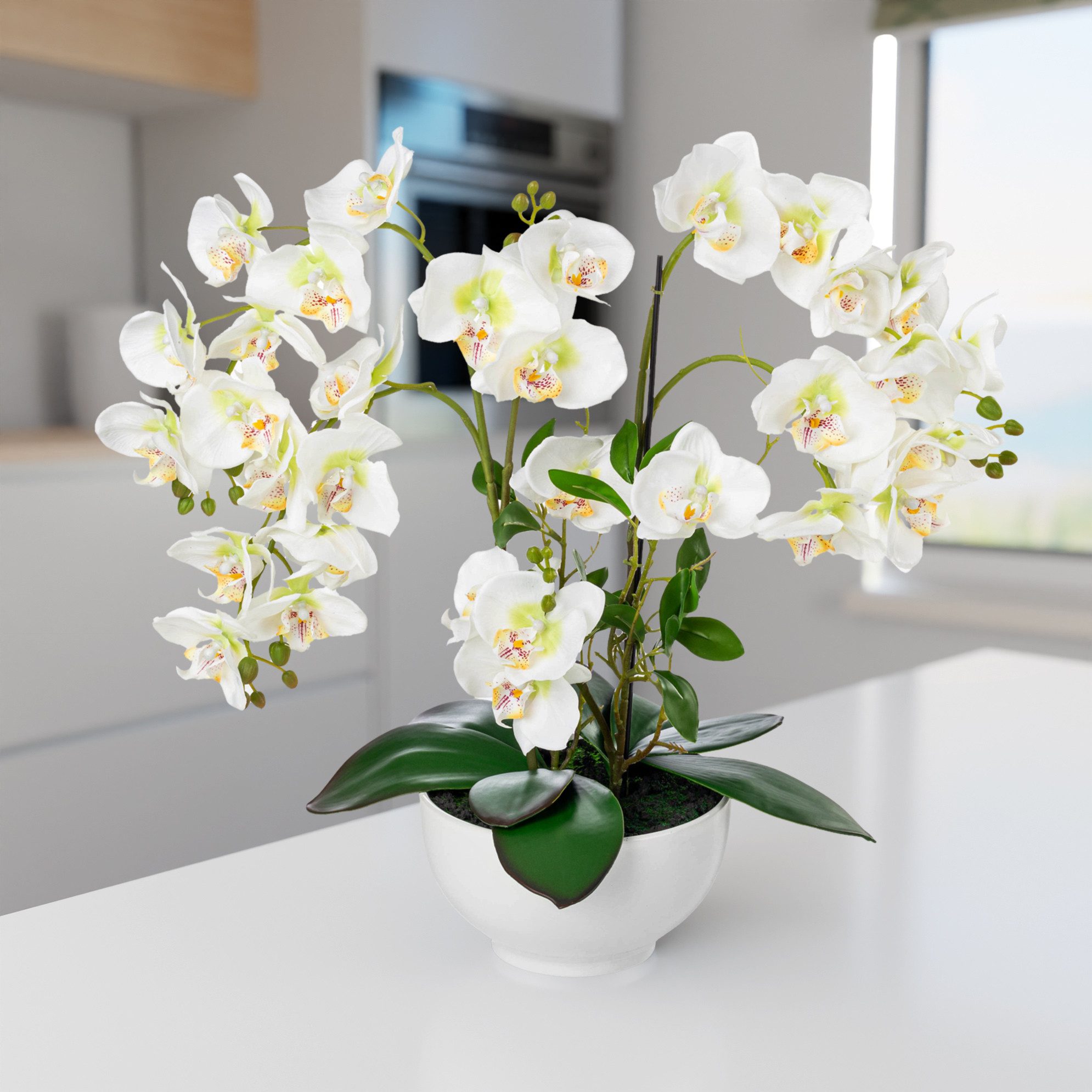 Kunstorchidee PASCH® XXL Orchidee künstlich wie echt (56cm) in Hochglanz-Keramiktopf Orchidee, PASCH