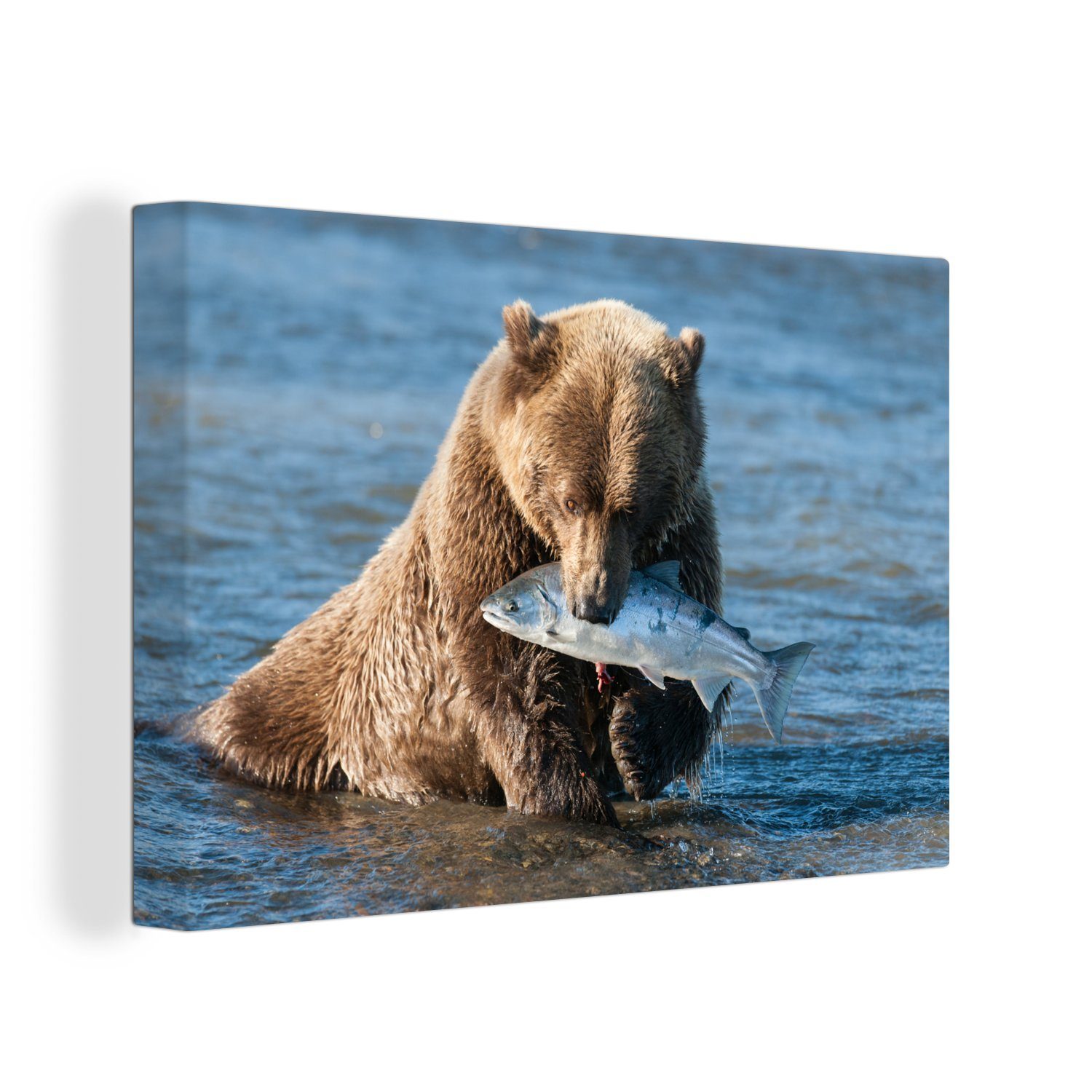 OneMillionCanvasses® Leinwandbild Bär - Braun - Wanddeko, (1 Leinwandbilder, Aufhängefertig, St), Wandbild 30x20 Fisch, cm