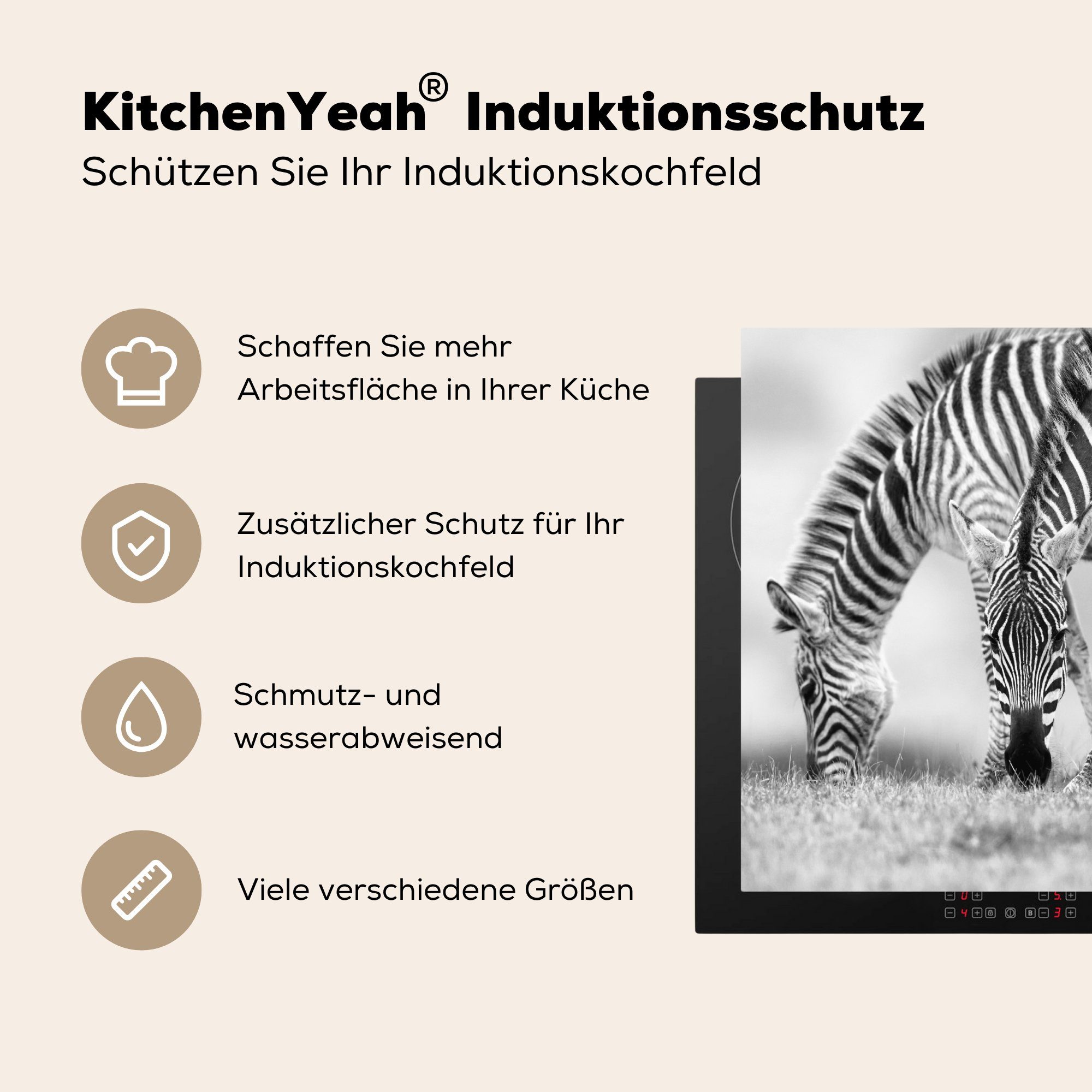 küche, Zebras, Induktionsmatte Herdblende-/Abdeckplatte tlg), Weidende die 59x52 MuchoWow Vinyl, cm, Ceranfeldabdeckung (1 für