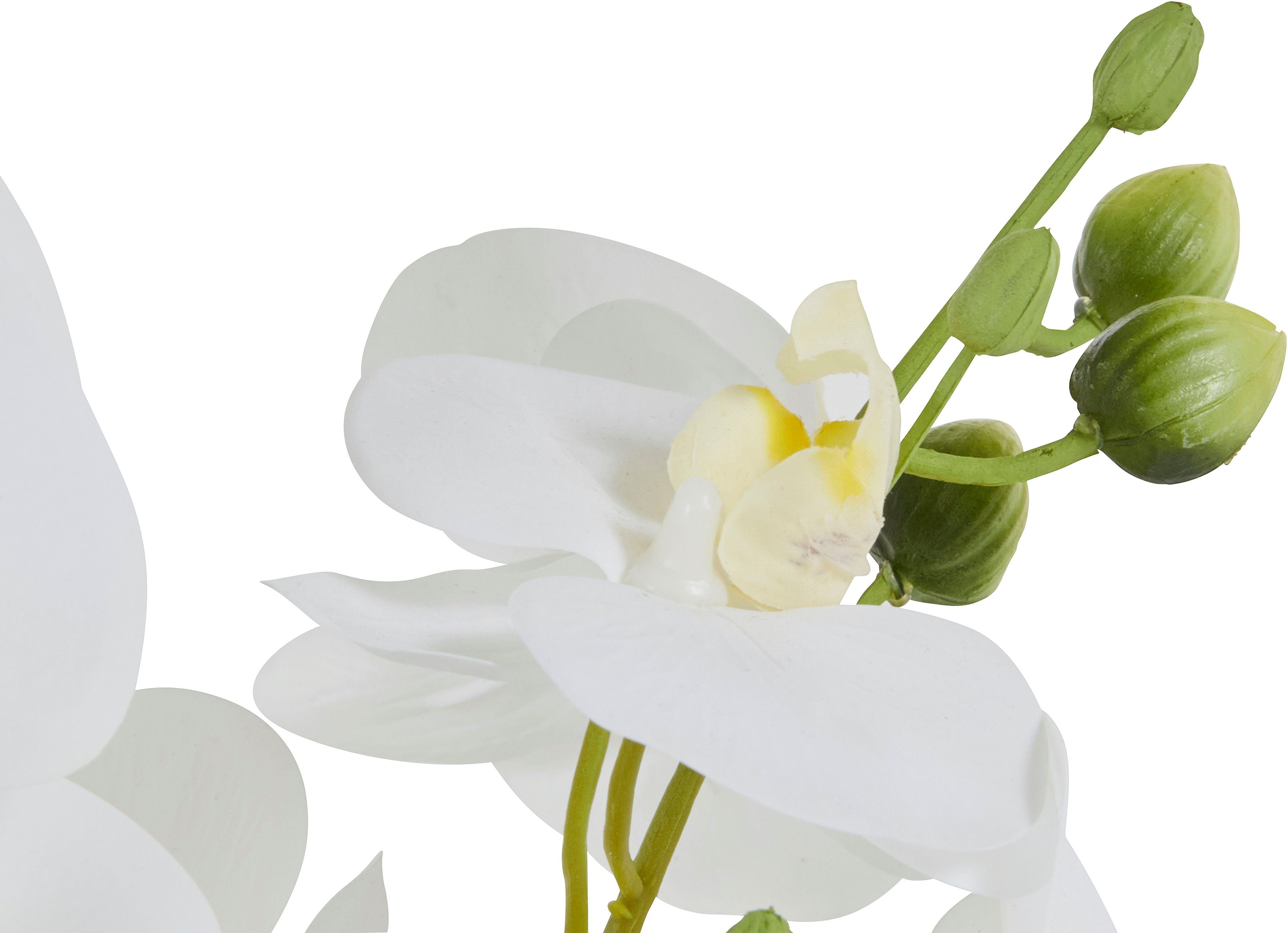 Kunstpflanze Orchidee, inklusive Übertopf aus Keramik in schwarz oder silberfarben Orchidee, OTTO home, Höhe 38 cm, Kunstorchidee, BESTSELLER, 38 oder 55cm hoch