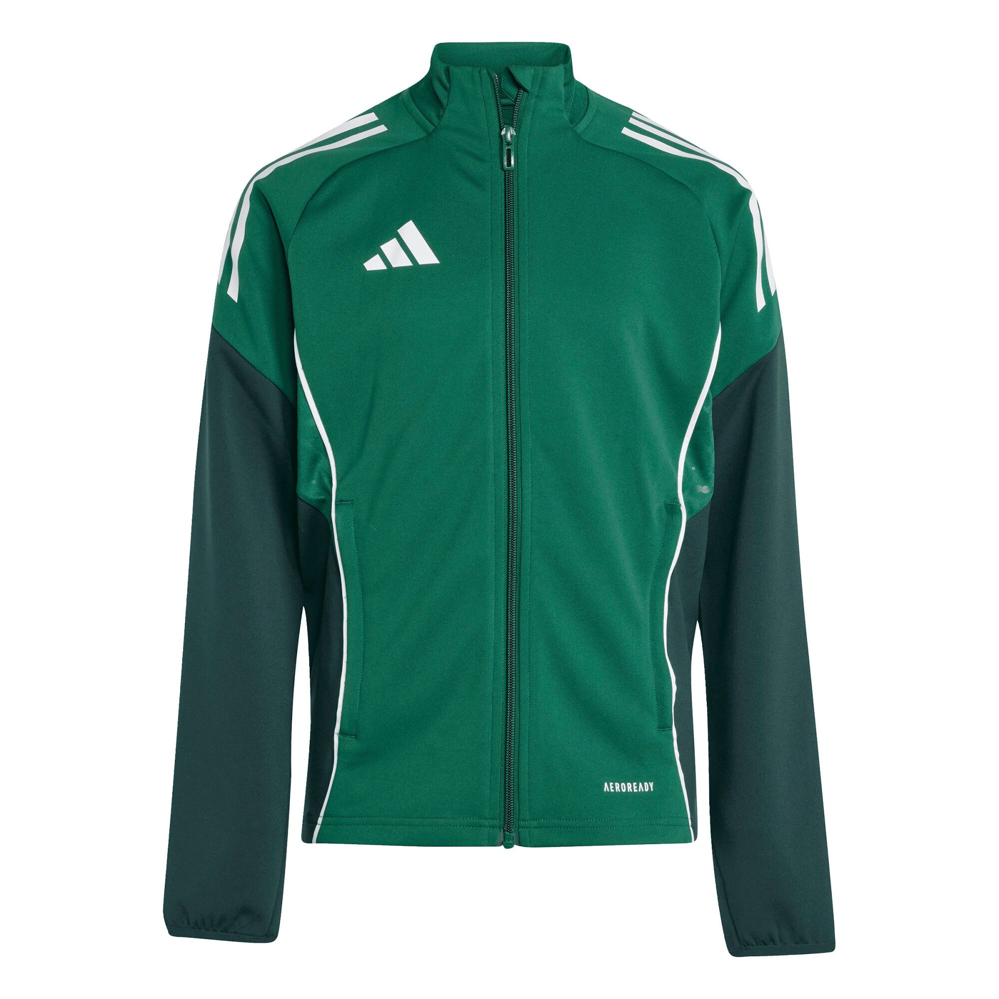 Team Dark Green/Green